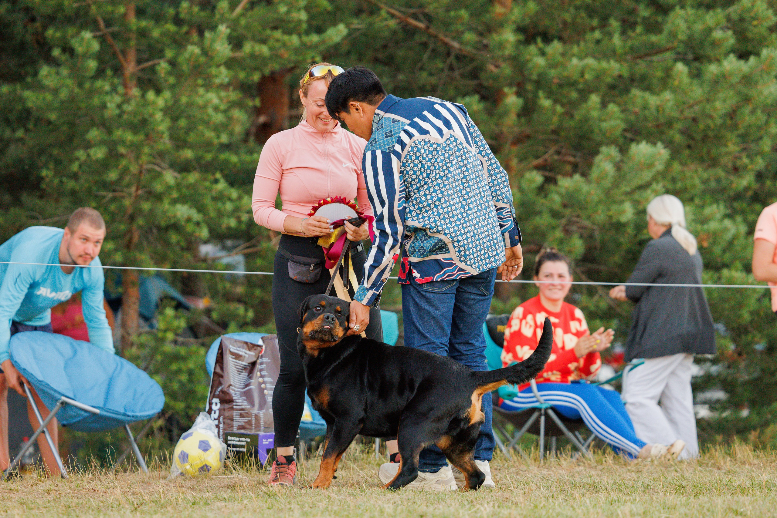 ПК и КЧК ротвейлеры Тверь 6-7.07.2024. Фотограф-анималист Юлия Германика