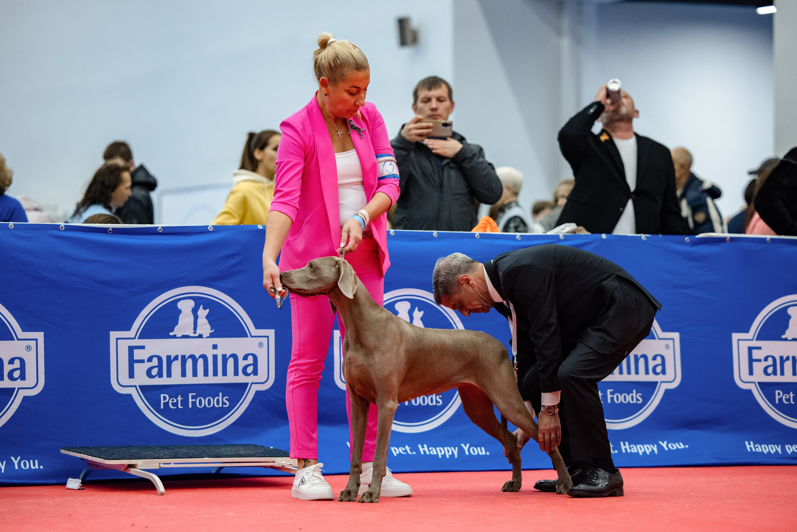 Нижний Новгород 21-22.10.2023. Фотограф-анималист Юлия Германика