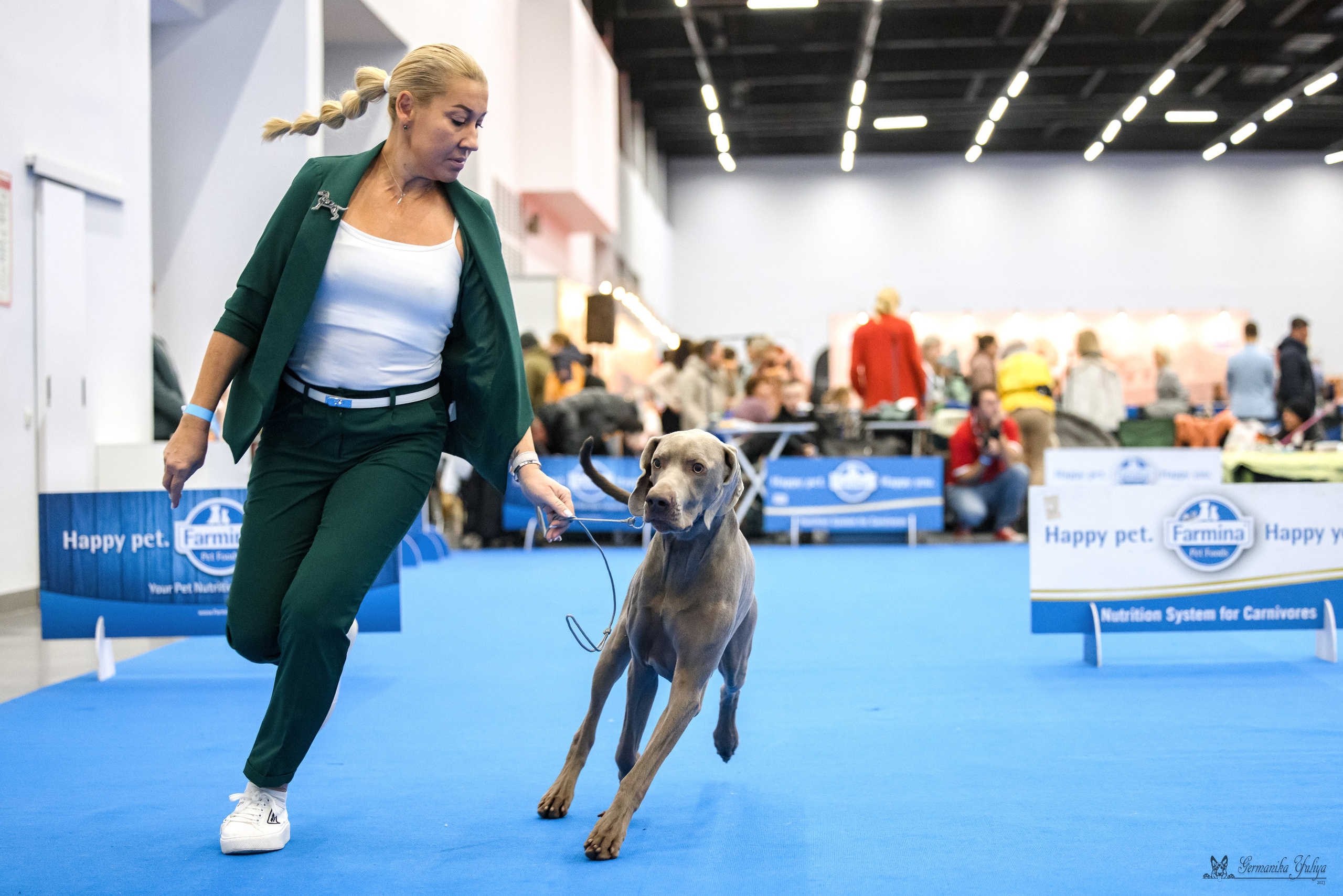 Нижний Новгород 21-22.10.2023. Фотограф-анималист Юлия Германика