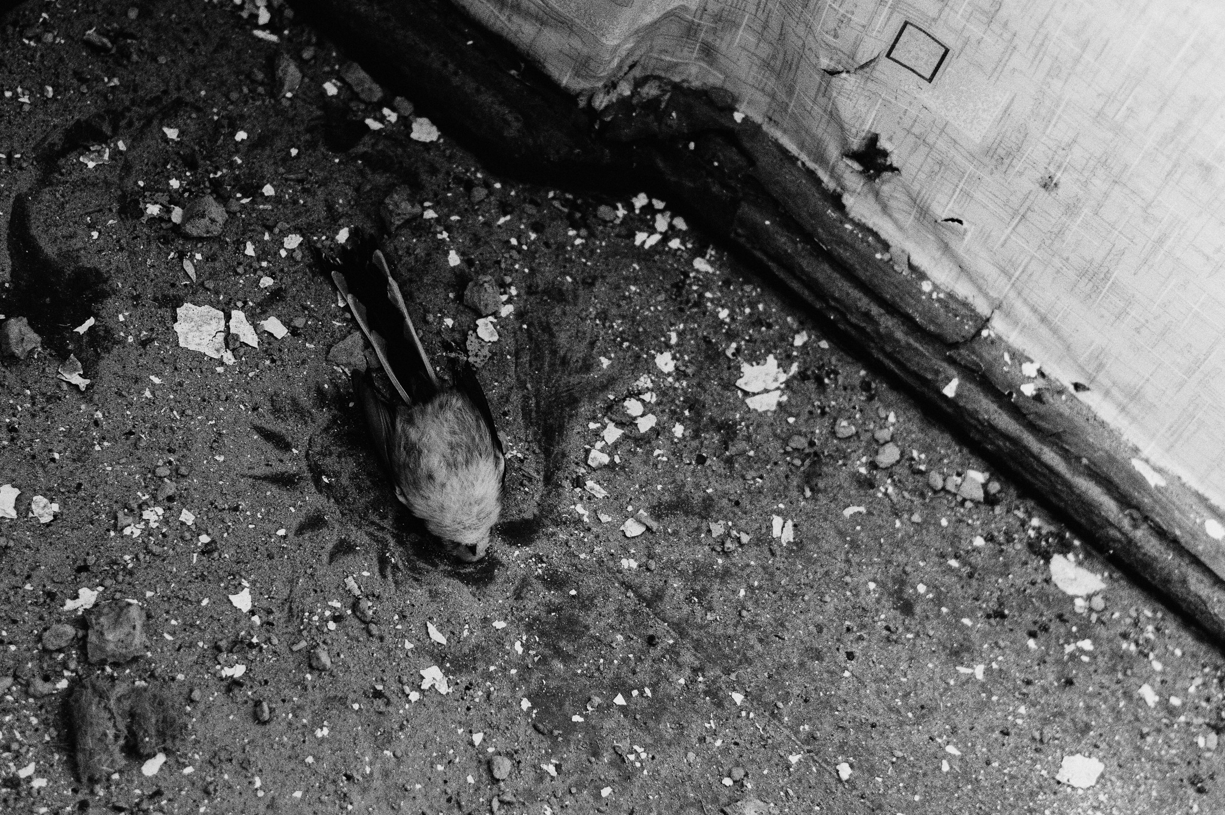 Мужская фотосессия фотограф. Фотограф Дарья Мустафина, Тюмень