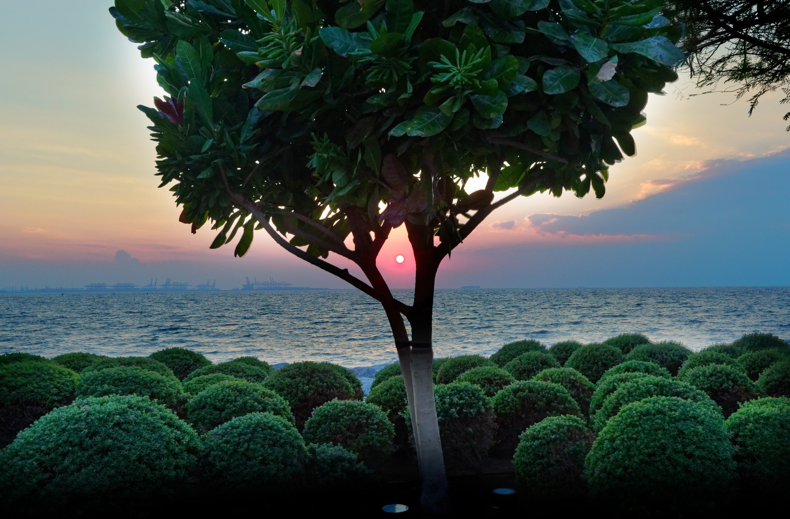 ПРИРОДА. Слепки времени. Фотографии природы и событий. Москва. Сергей Аллагулов