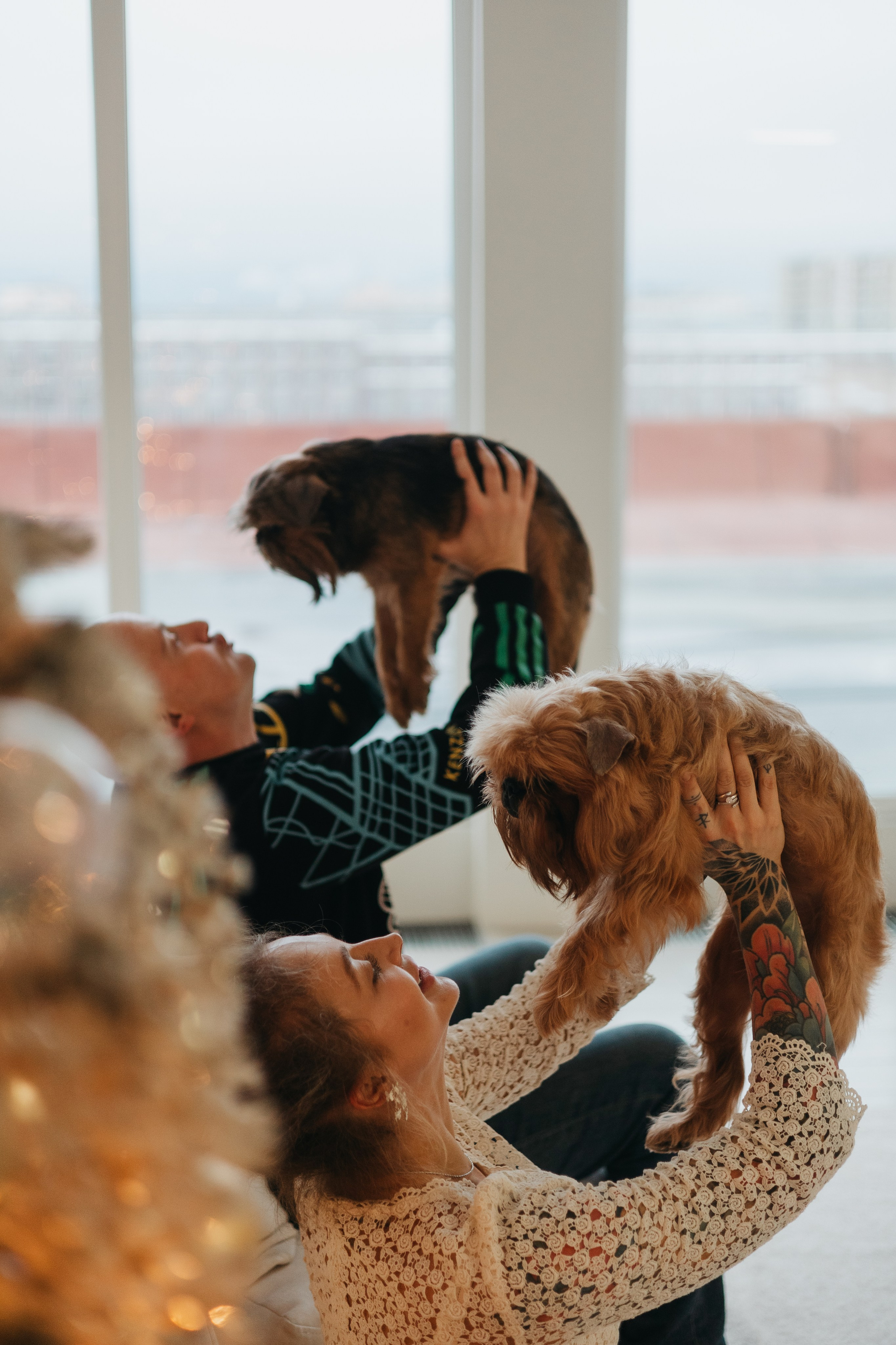 Эля, Рома, Жожо и Майкл. Фотограф животных Евгения Верцинская