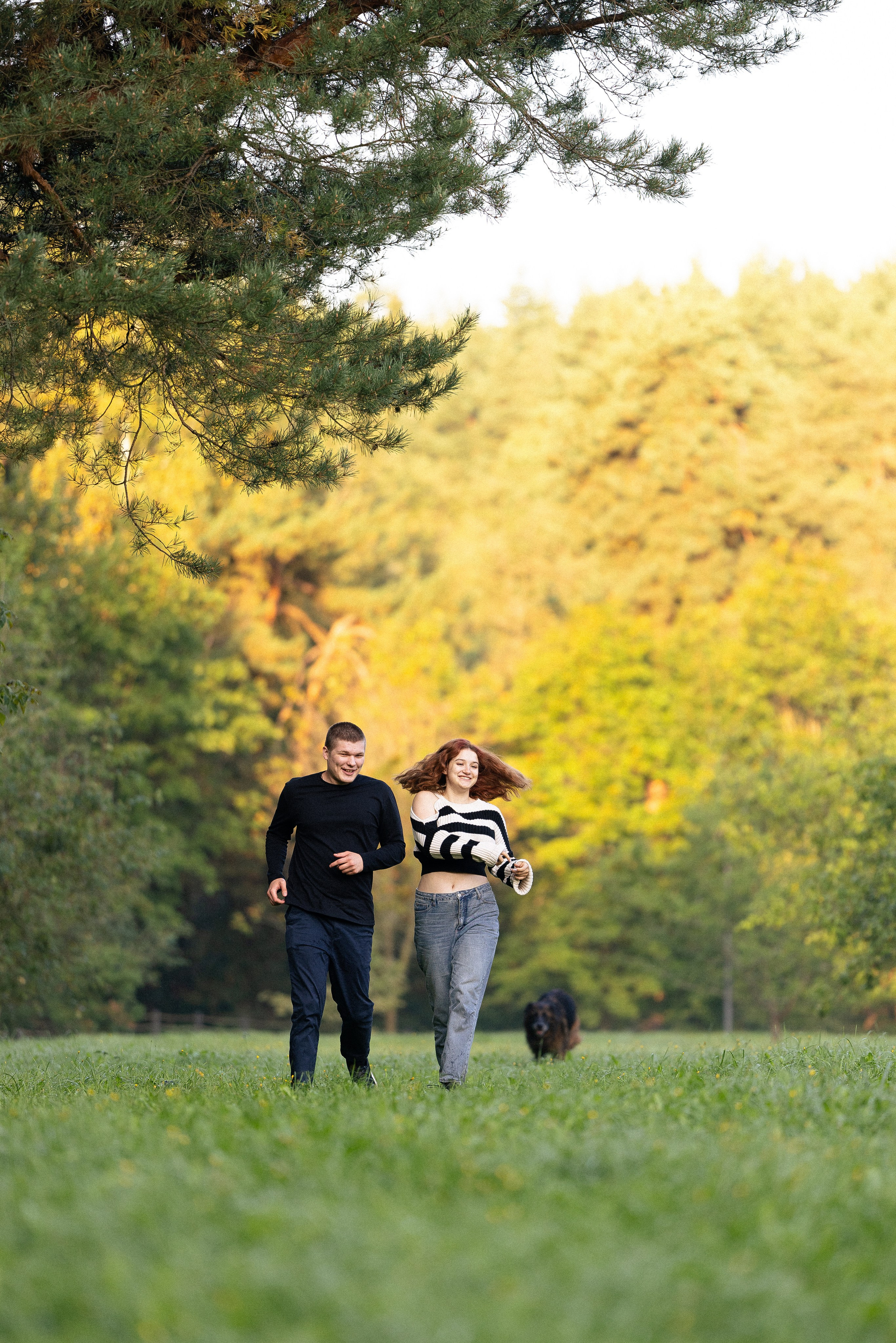 Алена, Матвей, Фанни и Фрея. Фотограф и видеограф анималист Аганина Дарья