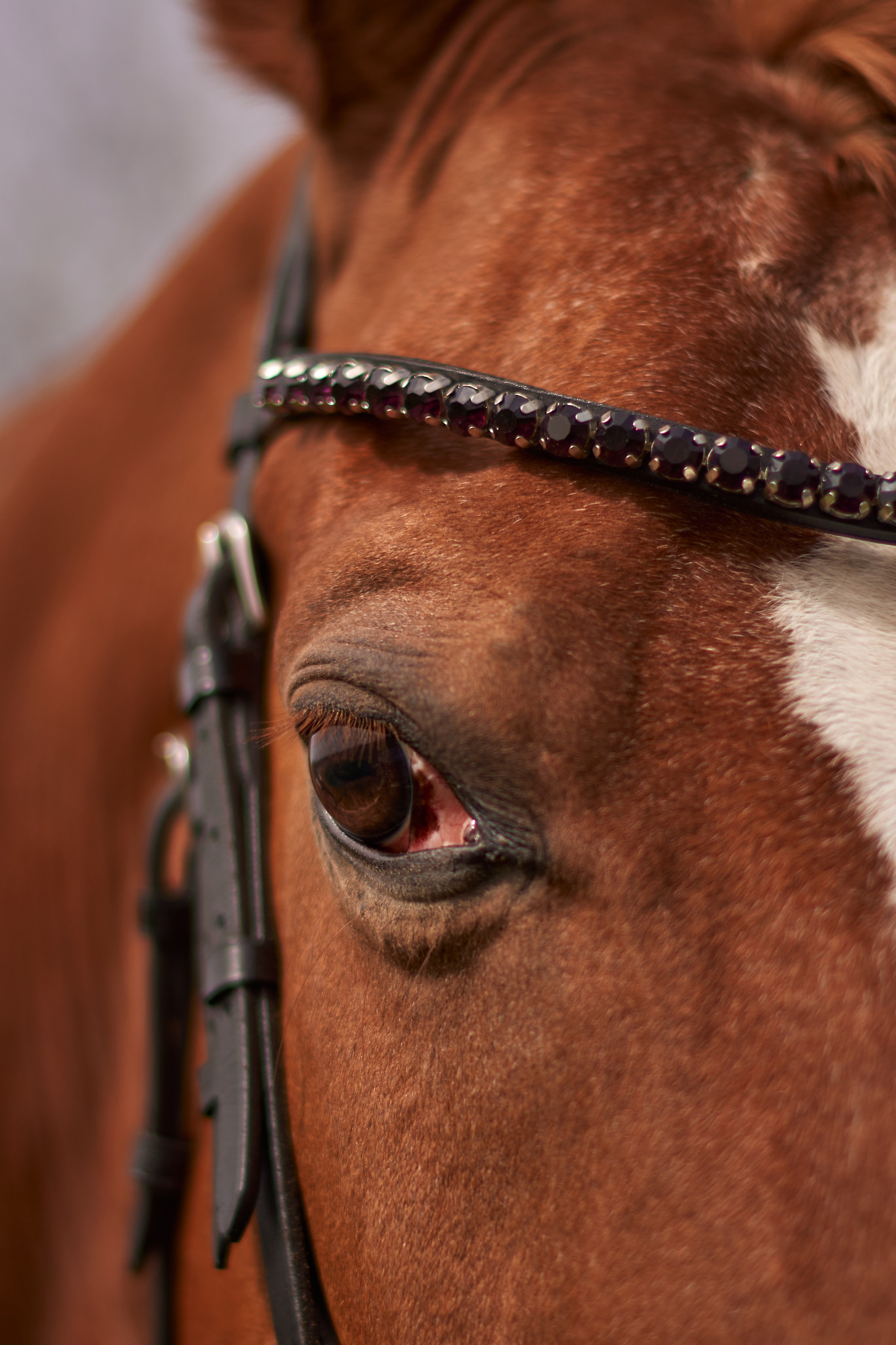 Екатерина и Банкир. Фотограф в Севастополе