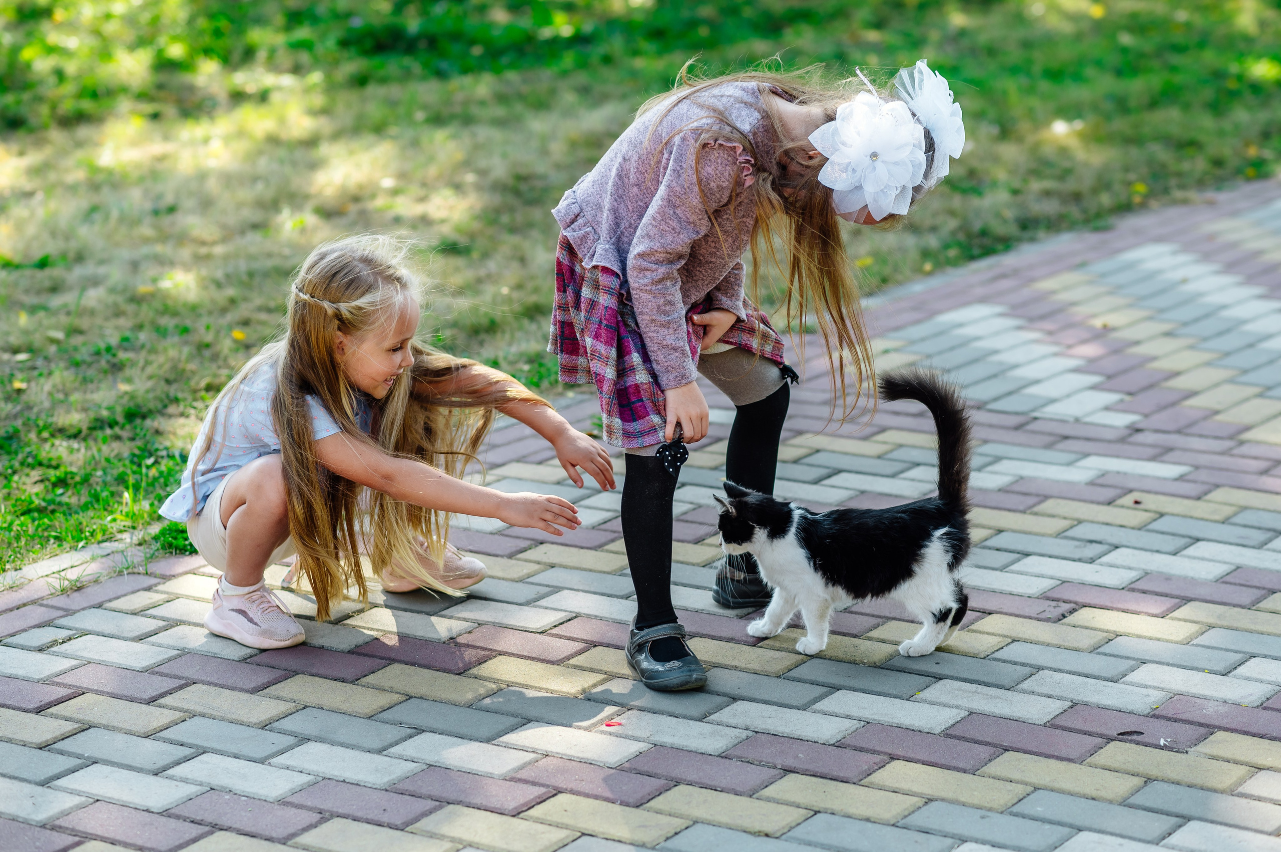 Детский сад