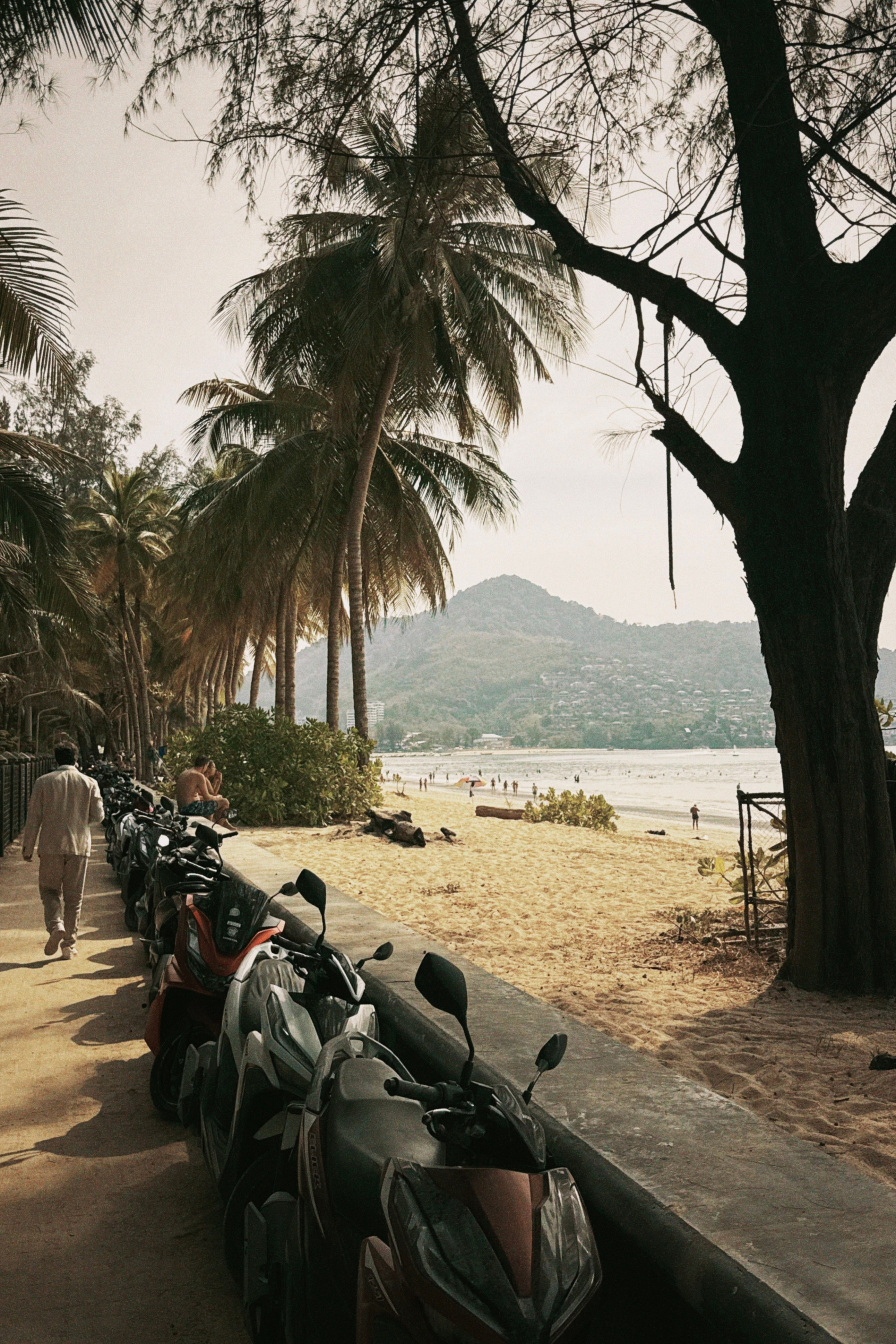 Две недели Пхукета. Главная