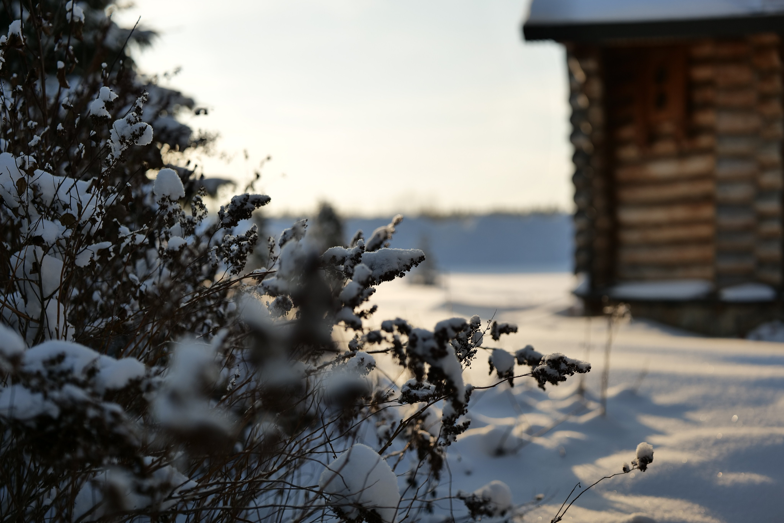 Верхотурье. Владимир Власюк