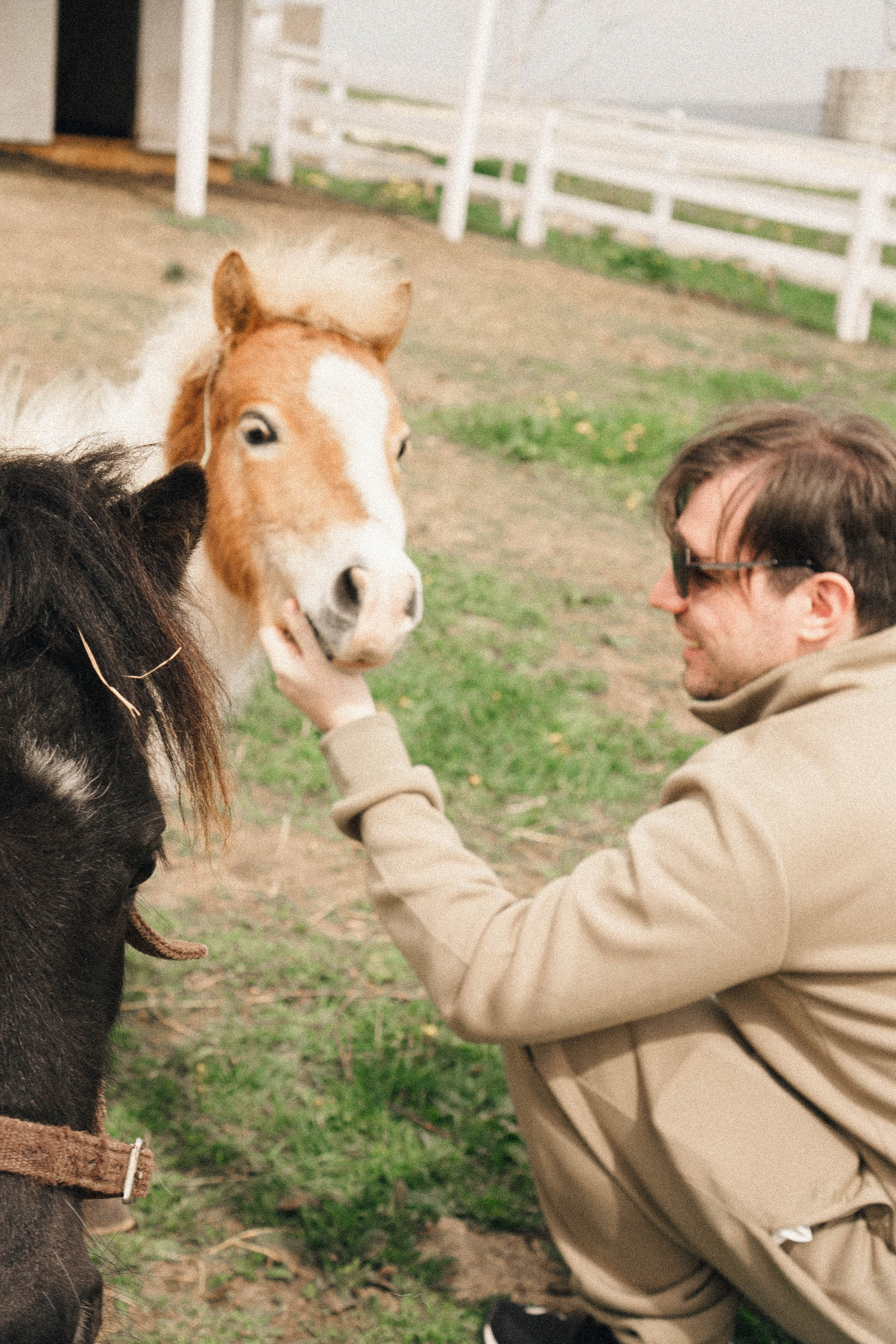 Ферма Альпак. Профессиональный фотограф, Санкт-Петербург — Виктория Богомолова