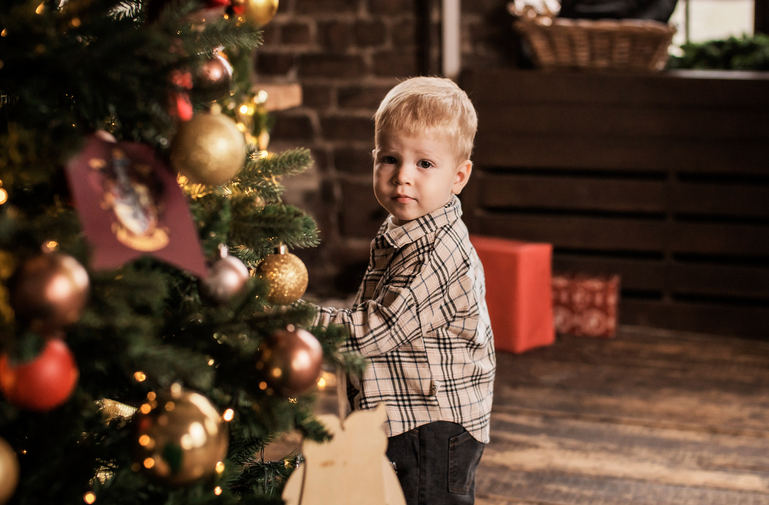 Семейные часовые фотосессии. Семейный фотограф в Саратове