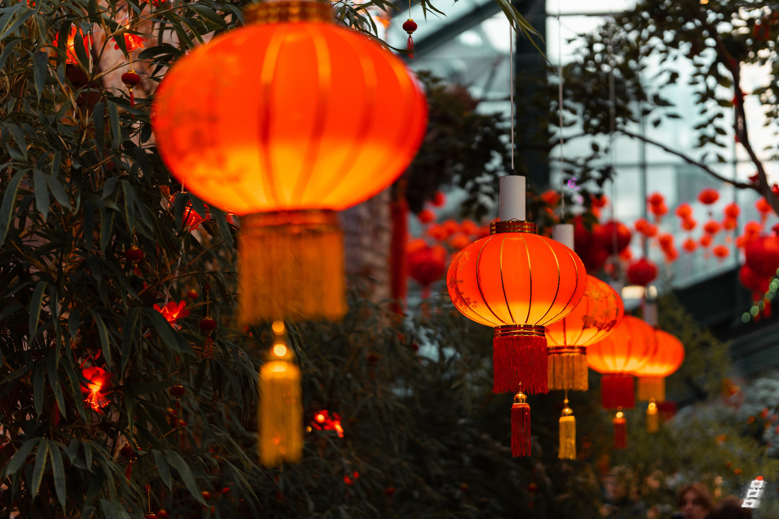 Саватейкин Ярослав | Портретный фотограф в Москве