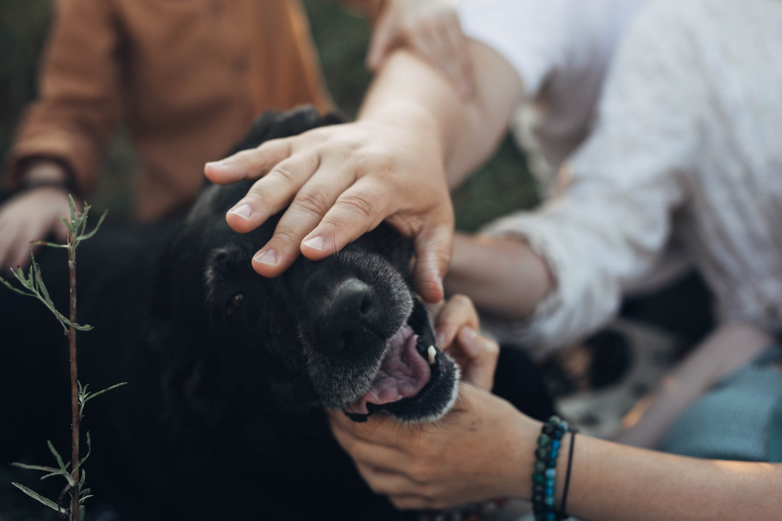АВГУСТ. Фотограф Наташа Румянцева