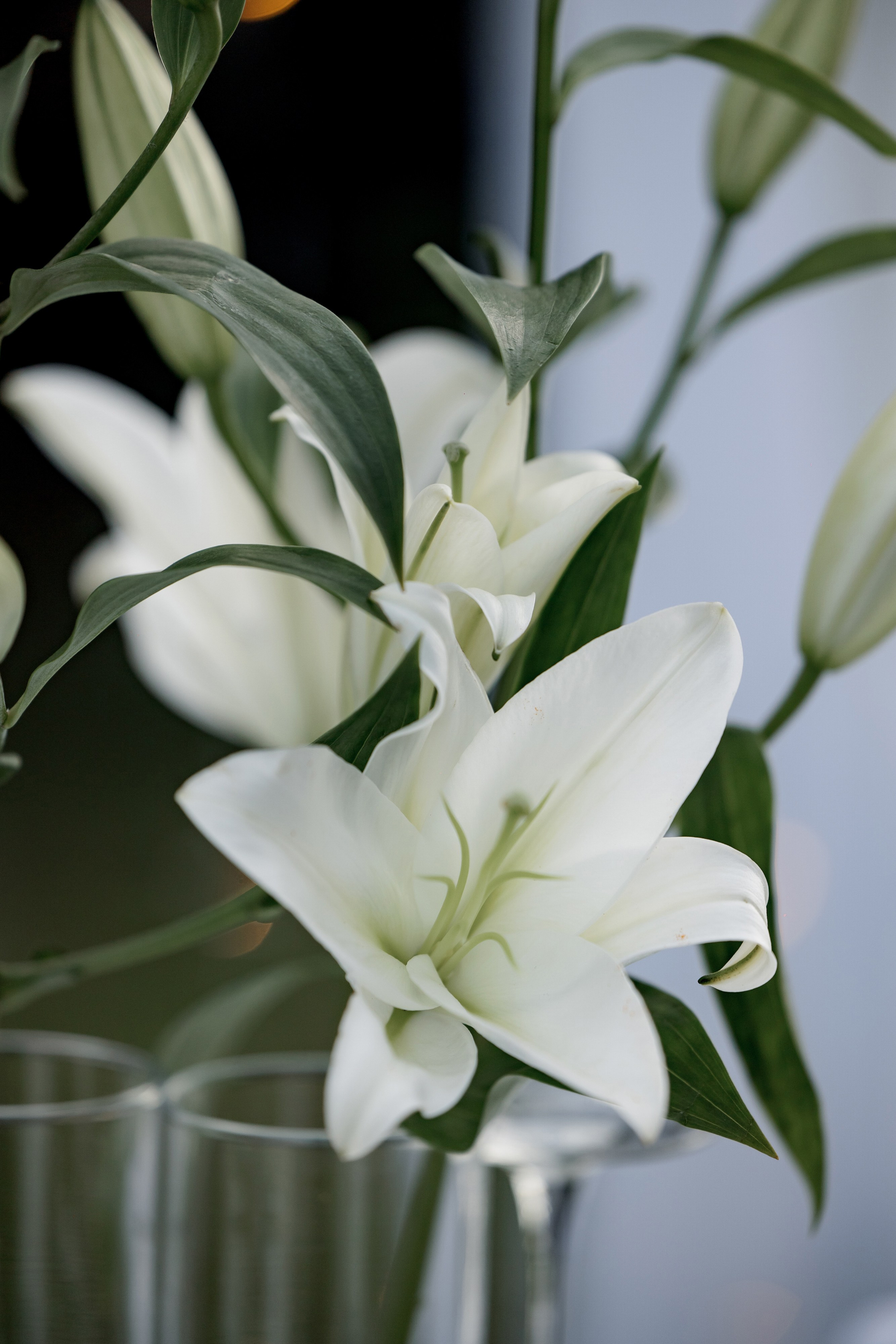 Виоланта & Леонид. The STORIES Event Studio