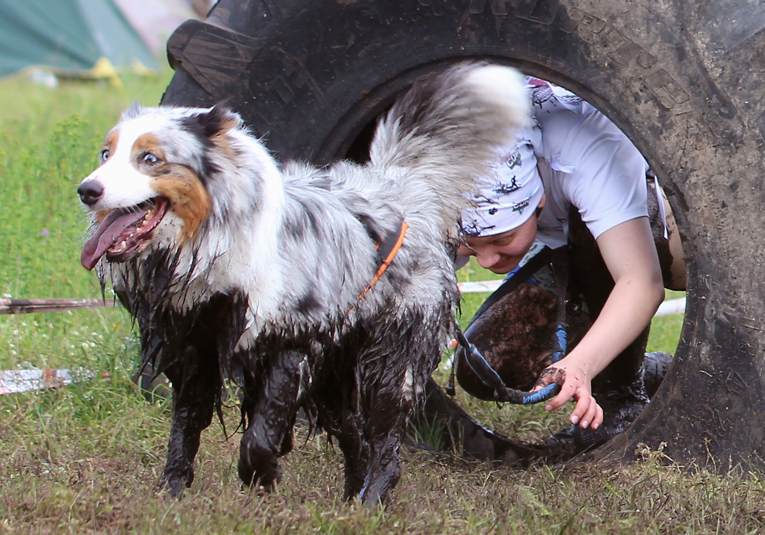 Хвостатый драйв. Семейный и детский фотограф в Москве и МО Елена Москвичева