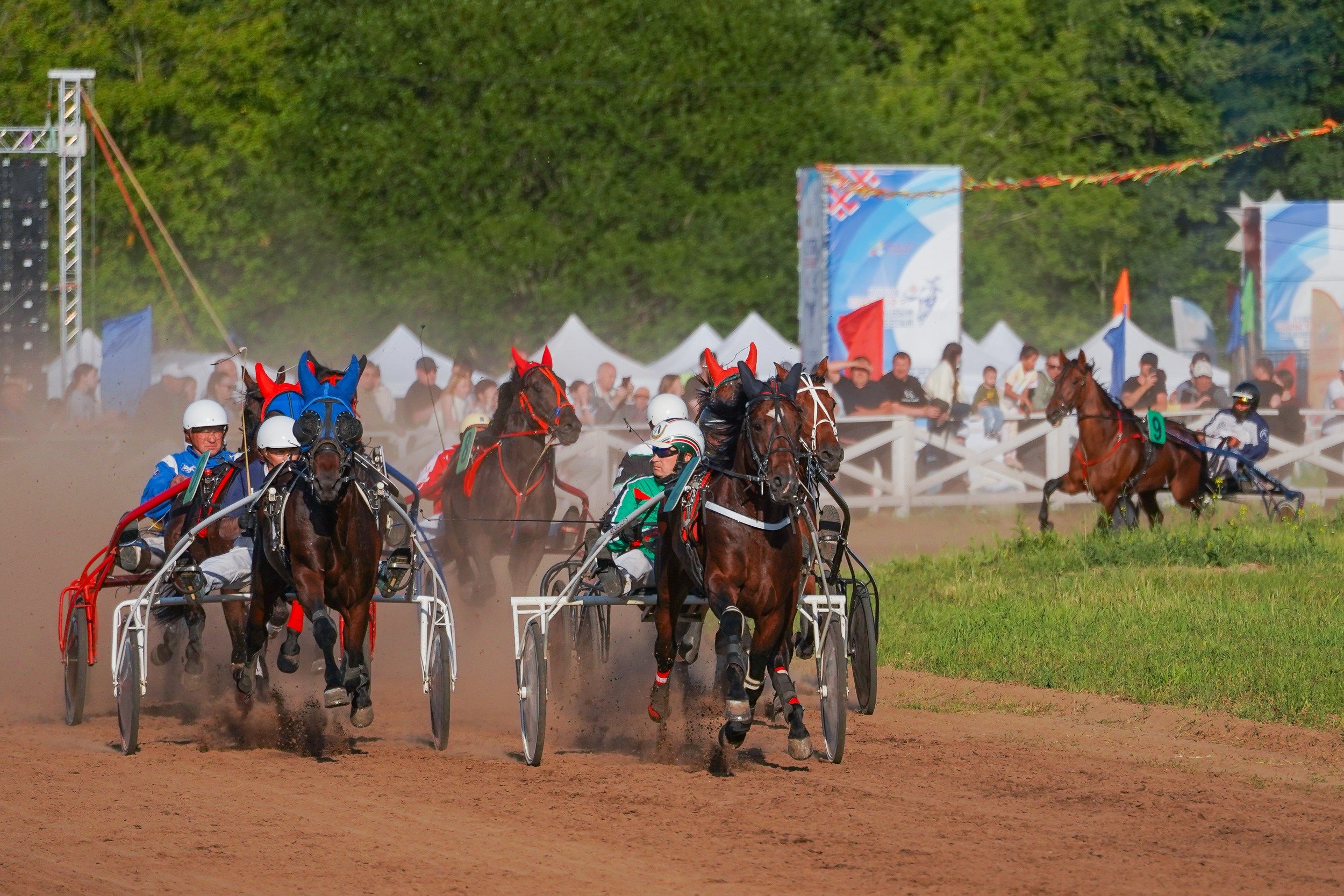 III конные бега на Кубок Главы Чувашии. Фотограф-анималист, портретный фотограф в Чебоксарах Мария Садыкова