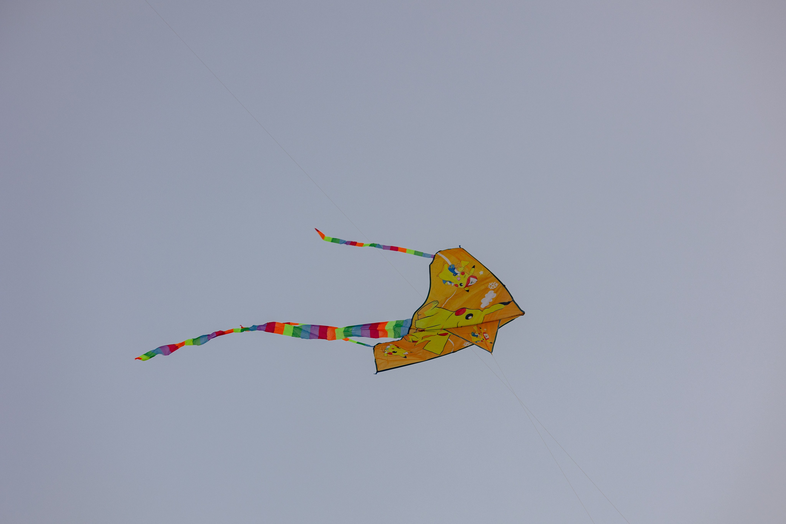 PATTAYA INTERNATIONAL KITE ON THE BEACH 2024. Photographer Sonkina Tatiana (Tanya Ash)