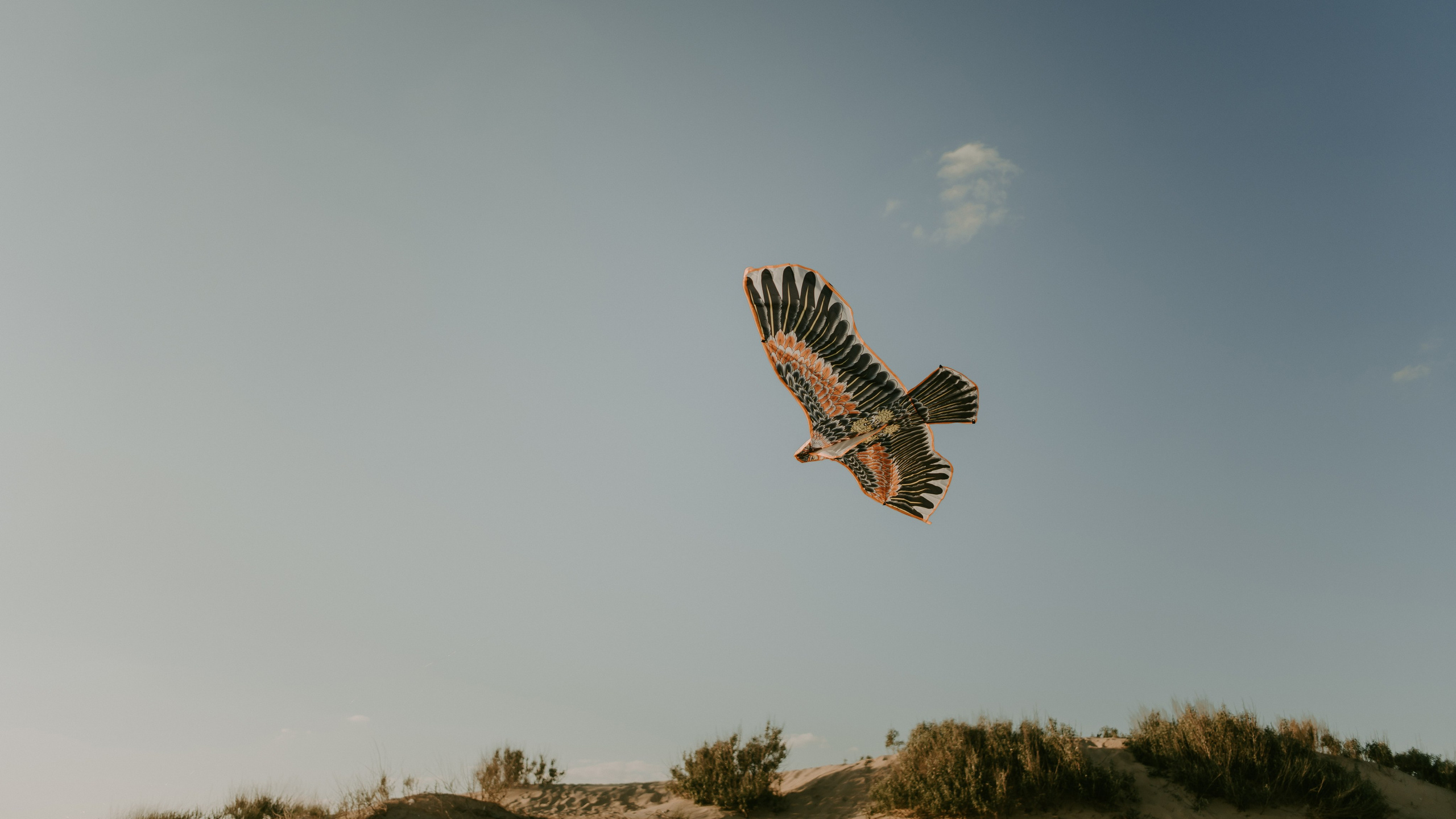 Море, песок и Любовь. Фотограф и Видеограф Анапа, Новороссийск, Краснодар. Алина и Женя
