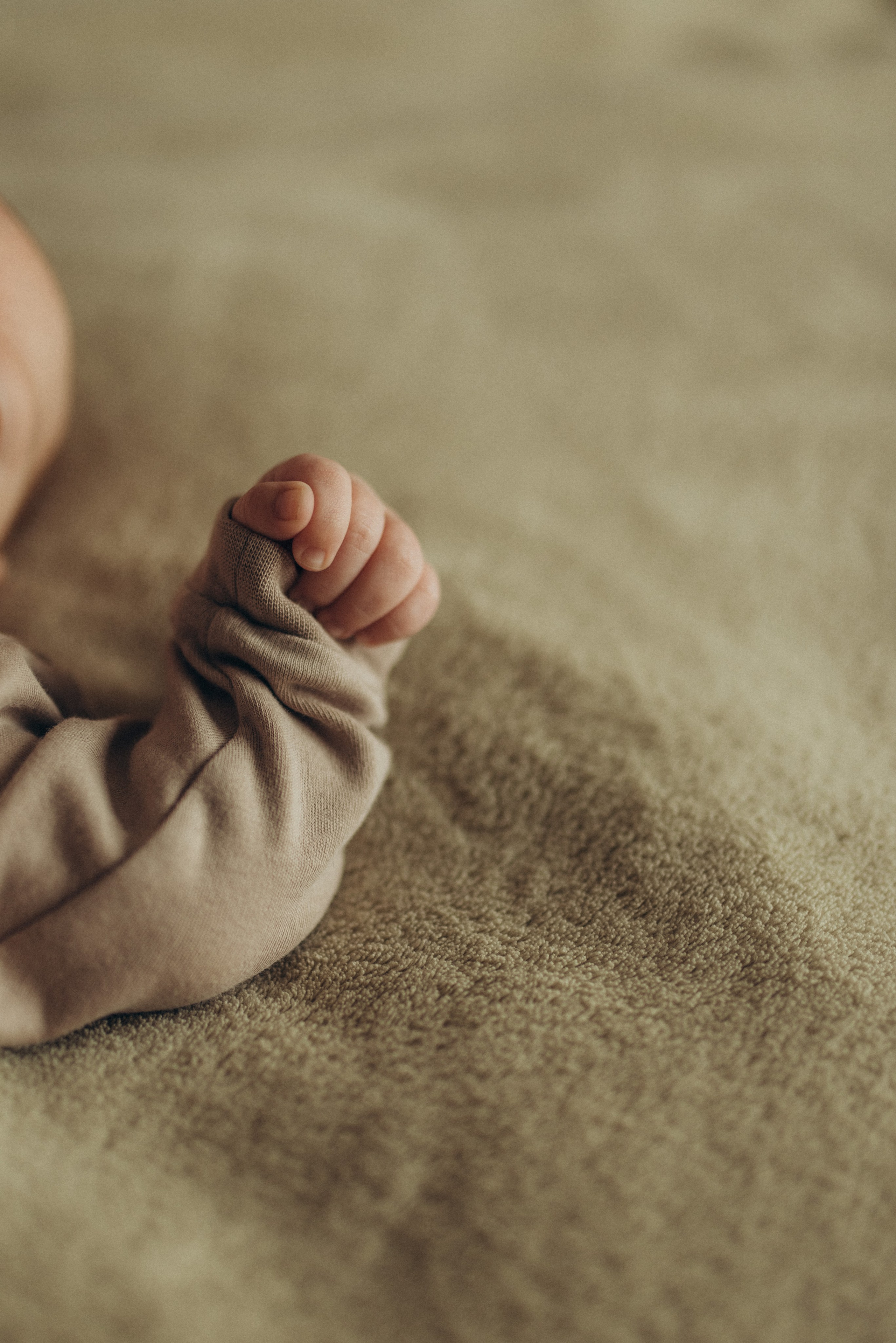 Всеволод. Семейный фотограф в Москве Екатерина Север