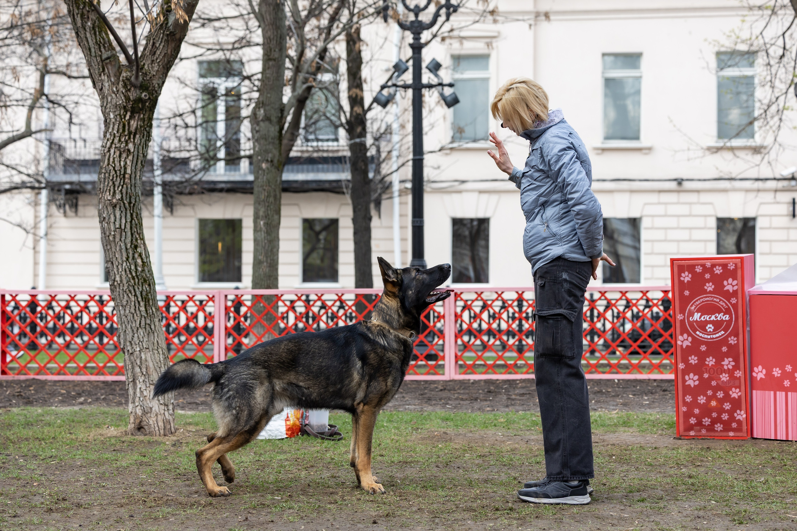 Проект «Моспитомец» на Тверском бульваре. Фотограф Владимир Охрименко