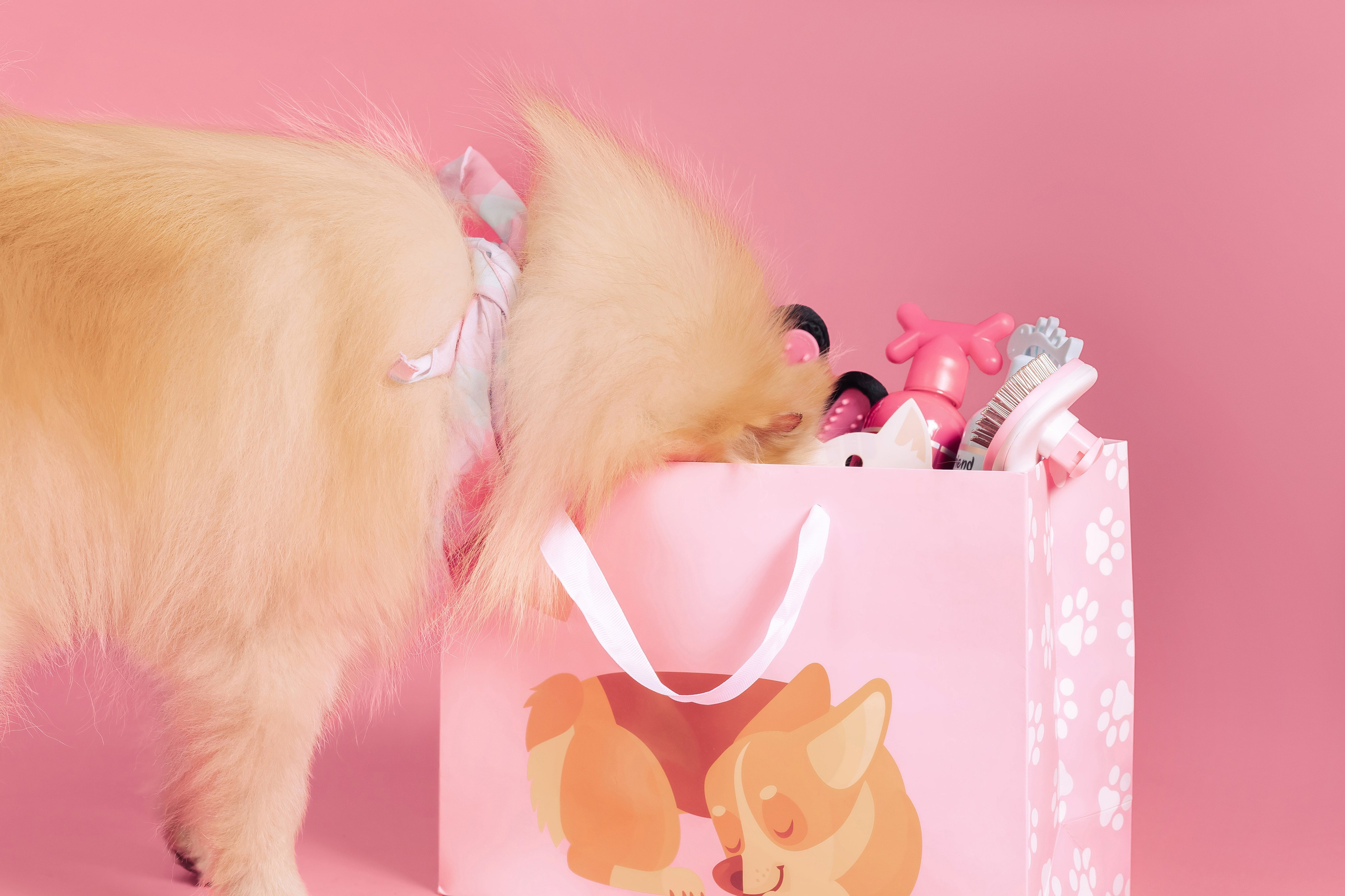 Магазин Friend of mine. Фотограф-анималист Елена Радченко, Москва