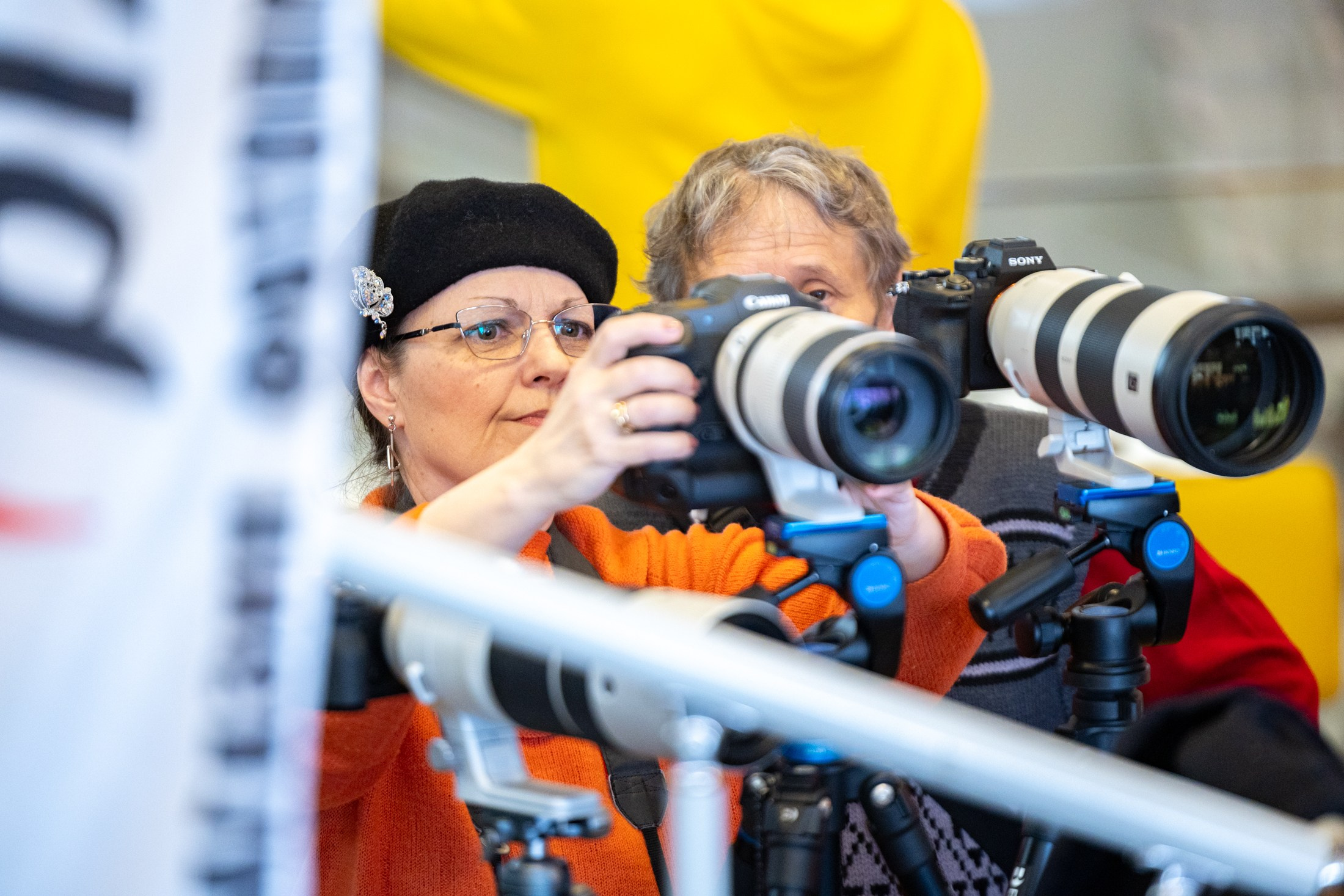 Nature Photo Talks. Фотограф-видеограф Александр Корнев