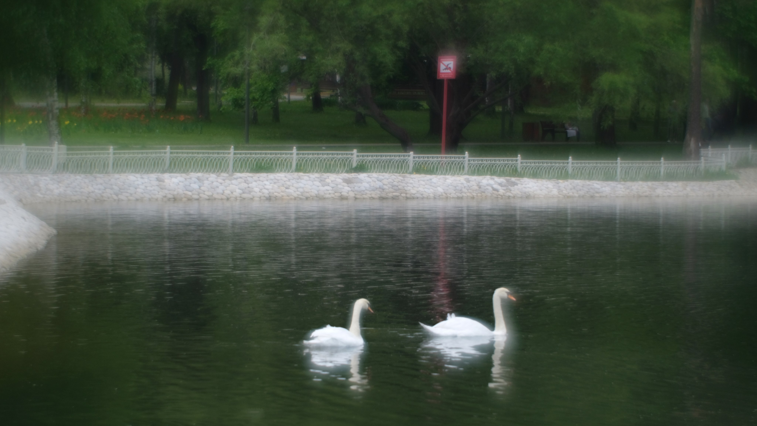 Пикториализм в природе. Сайт фотографа Виталия Дени