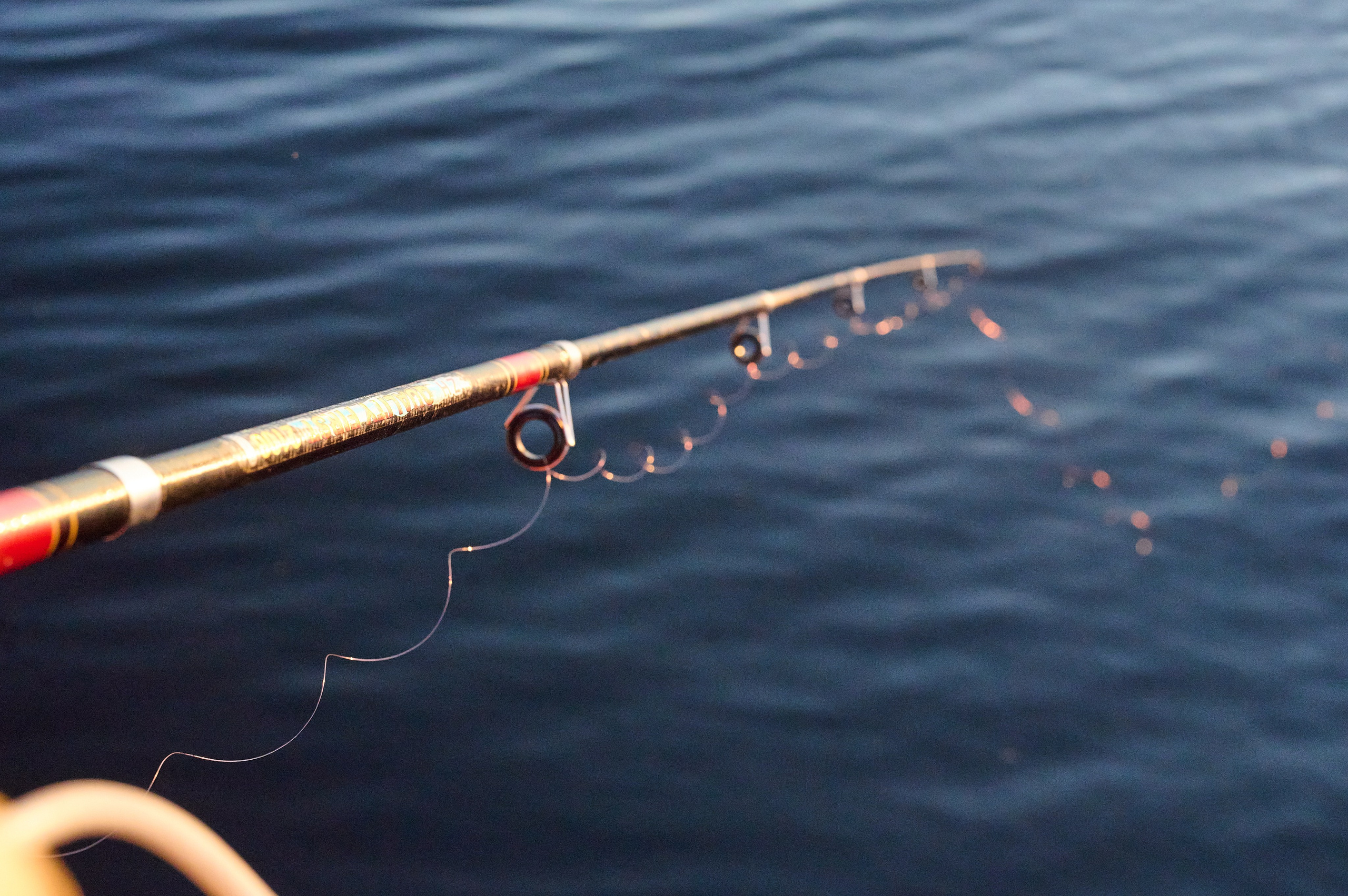 Детская рыбалочка. Репортажный фотограф в Санкт-Петербурге Диана Ларченкова