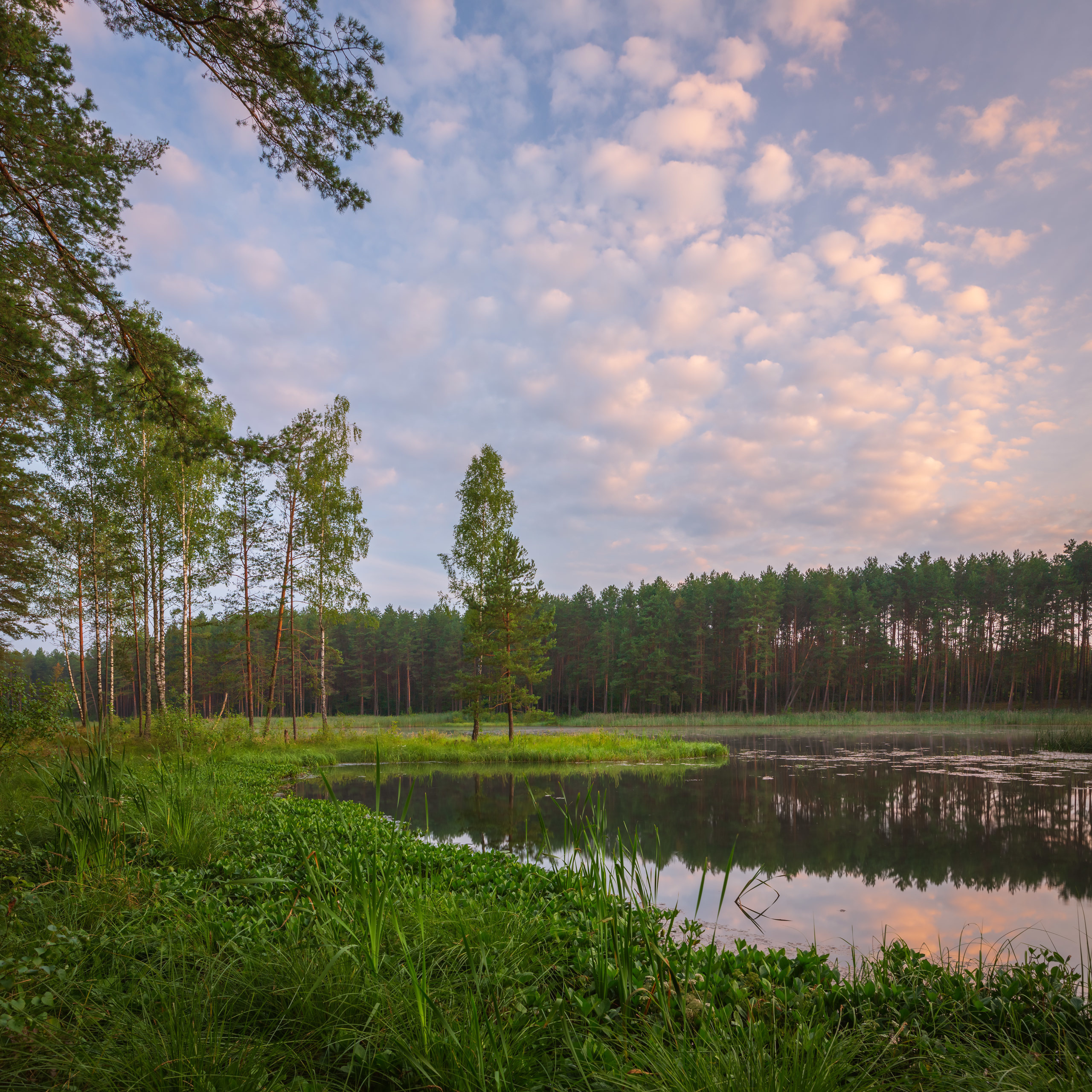 Пейзажные фотографии. Фотограф Евгений Стельмах в Молодечно и Минске