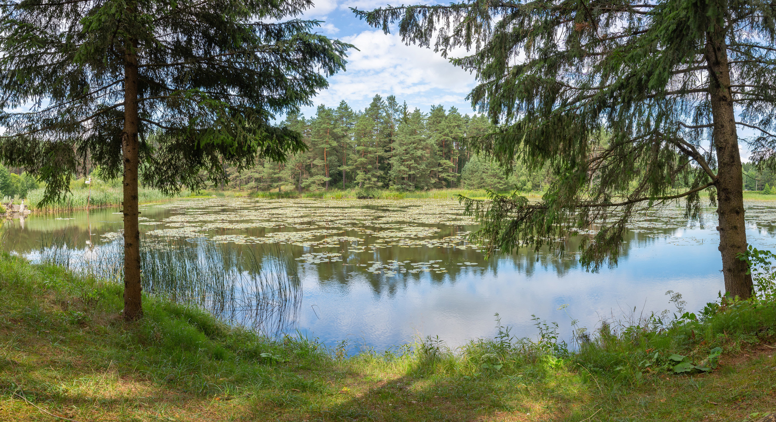 Пейзажные фотографии. Фотограф Евгений Стельмах в Молодечно и Минске