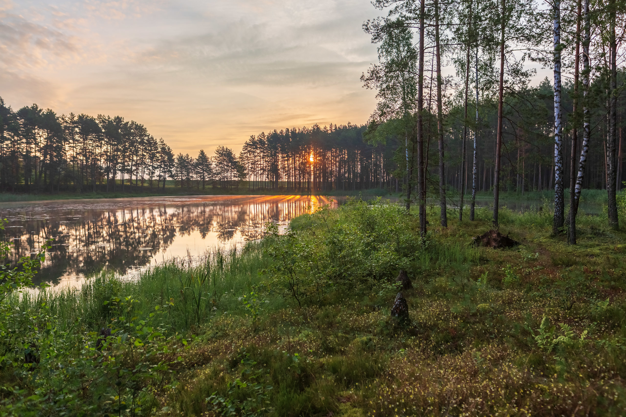 Вилейские берега