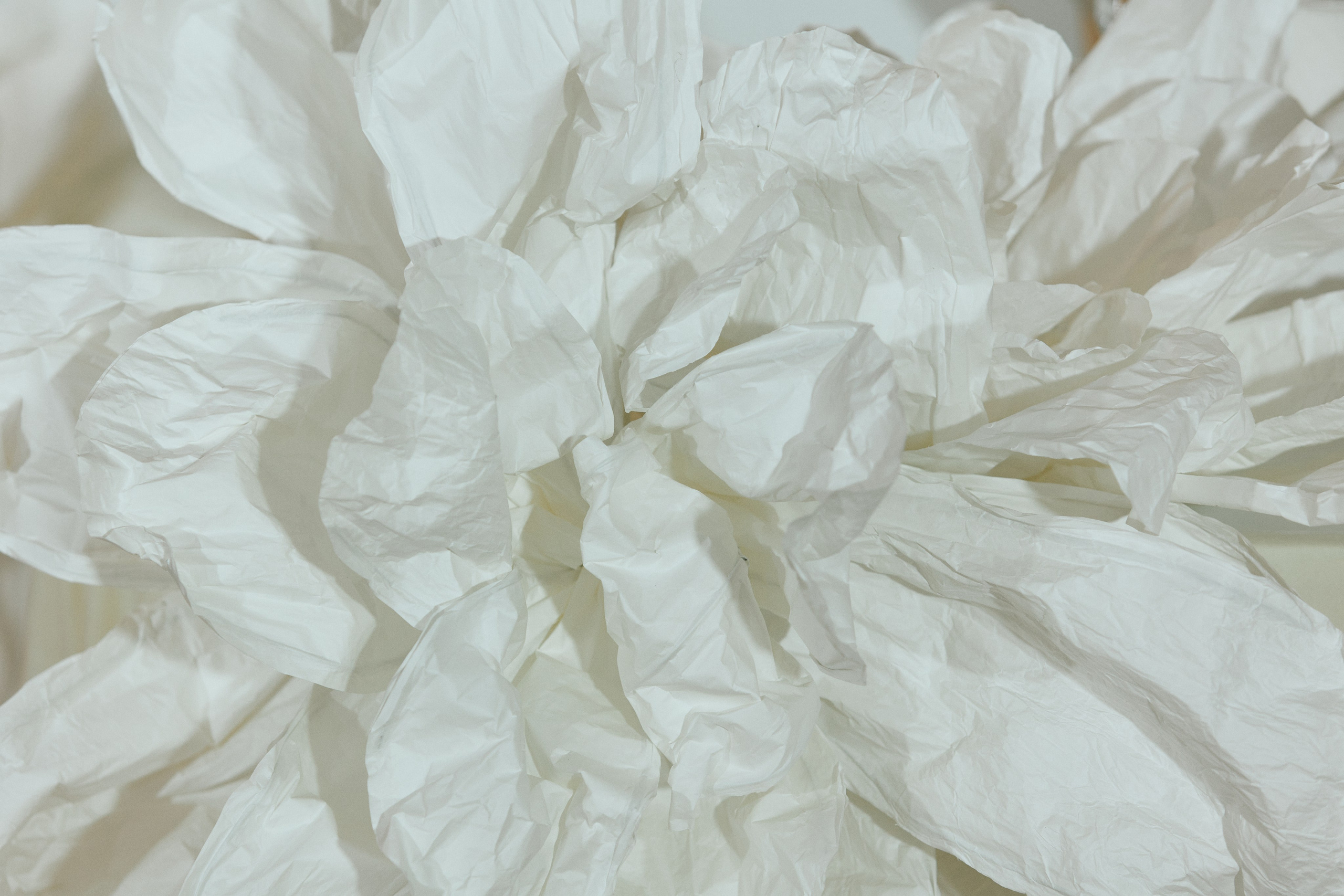 Danil & Ksenia. Event агентство PAPRIKA в Екатеринбурге