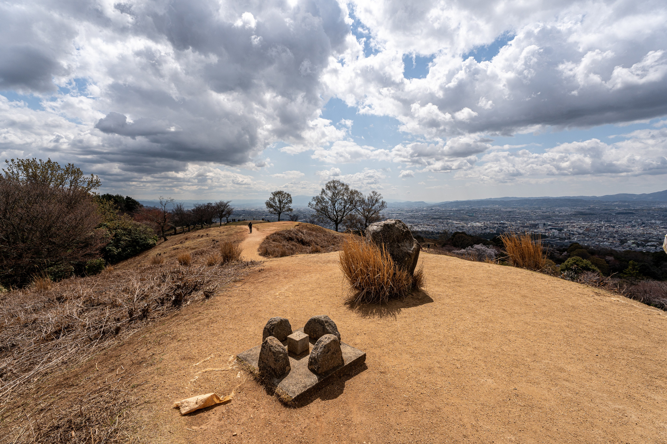 Япония, сакура. Творческие сьемки