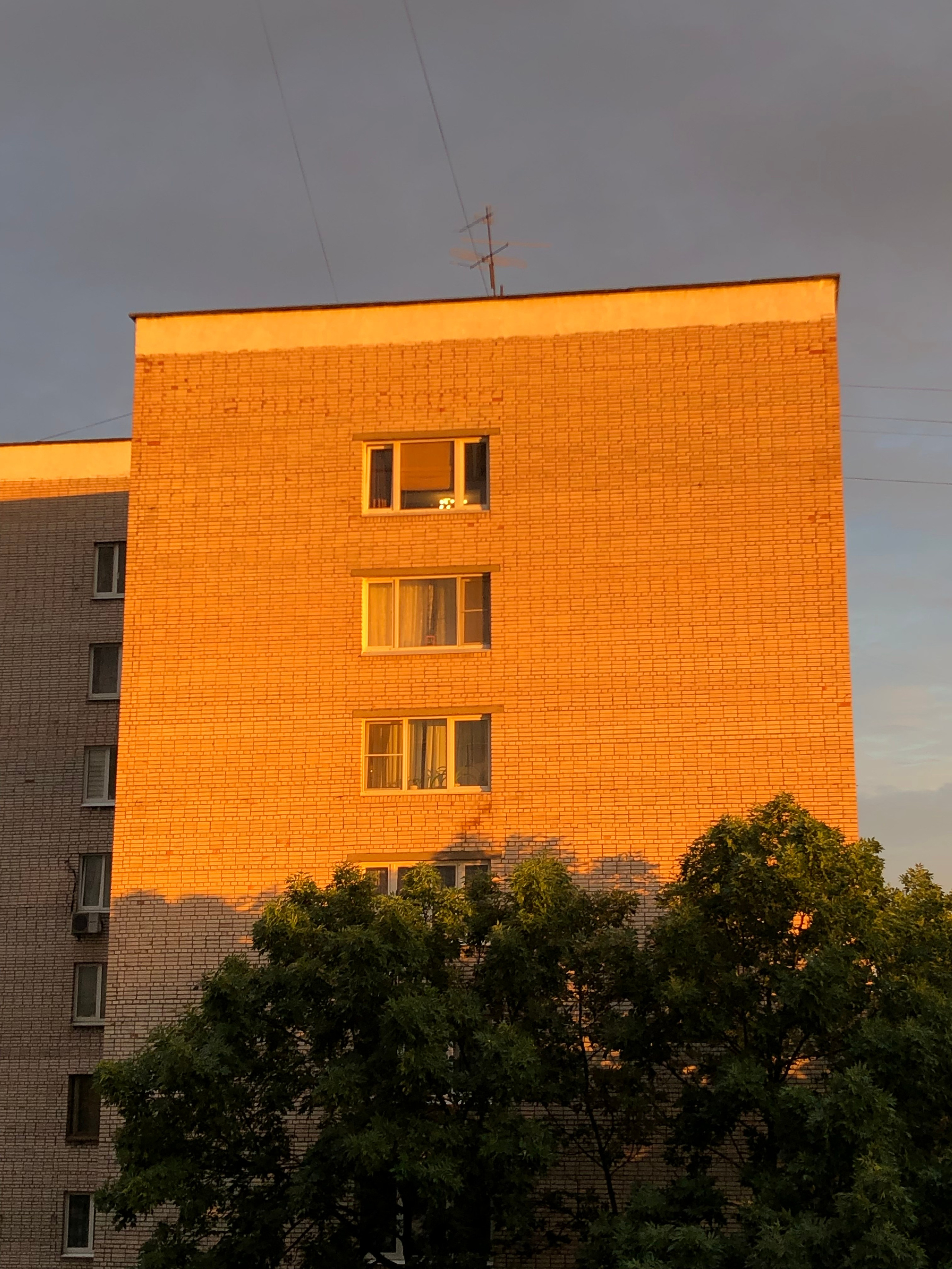 Июль. Семейный, Свадебный фотограф СПБ Питер— Романова Екатерина