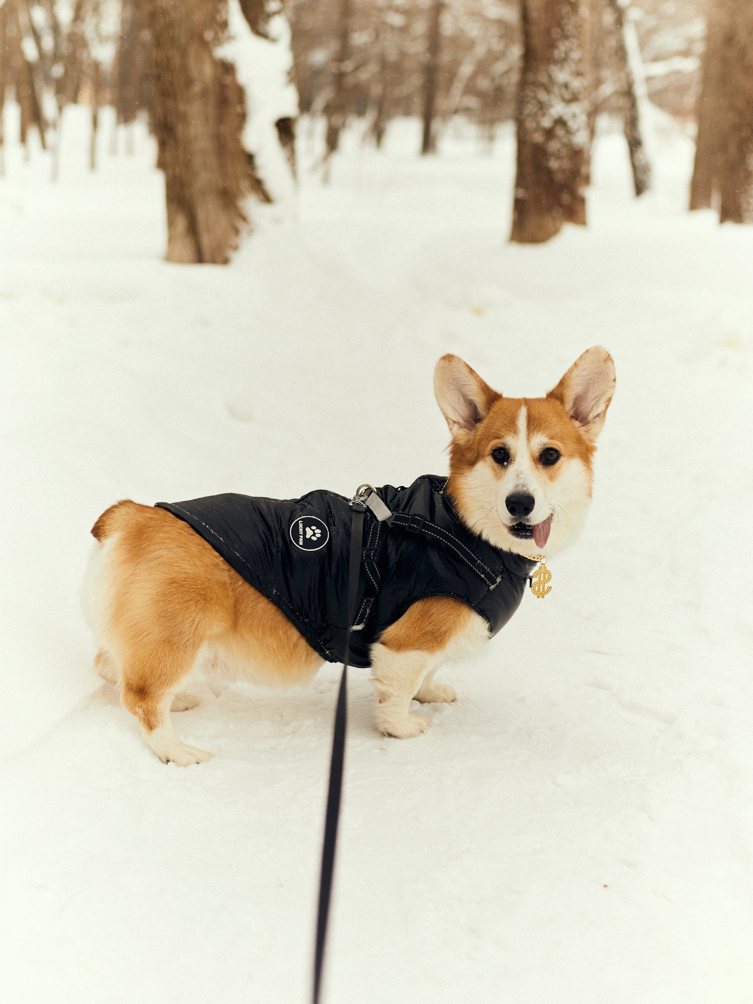 Арина и Динар малыш Рич. Фотограф и видеограф в Бугульме Аня Трутнева