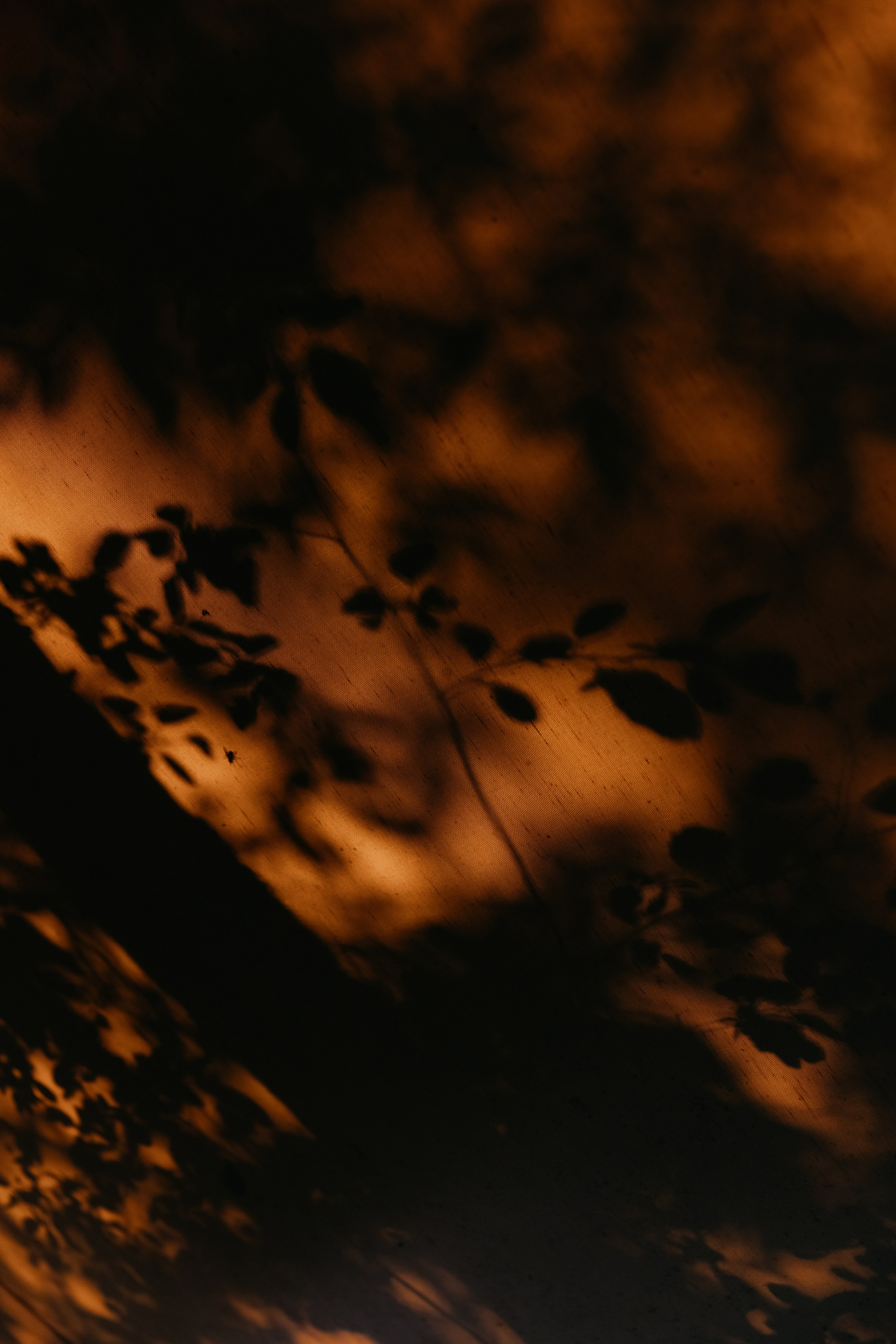 «Суженый, ряженый, приди ко мне наряженный». Свадебный и репортажный фотограф в Санкт-Петербурге