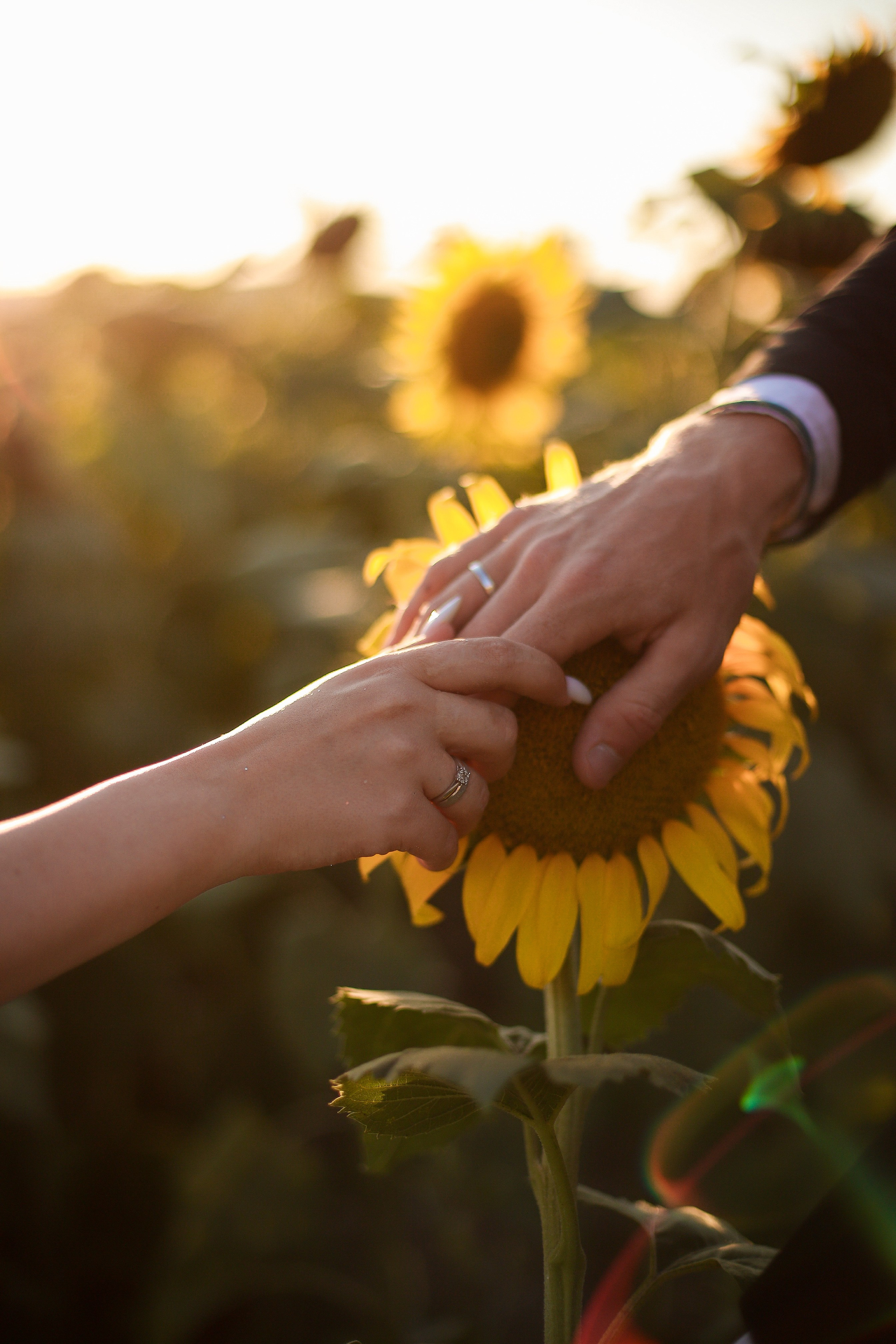 Свадьбы. Фотограф в Анапе и Геленджике
