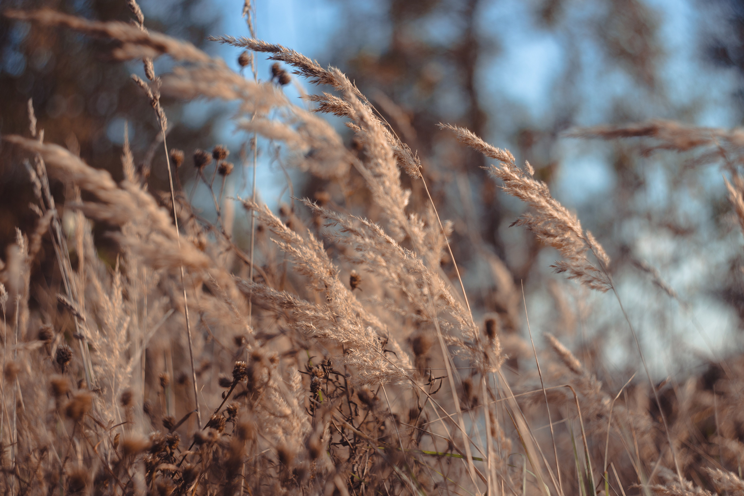 Сентябрь 2023. Efremovaphoto.ru