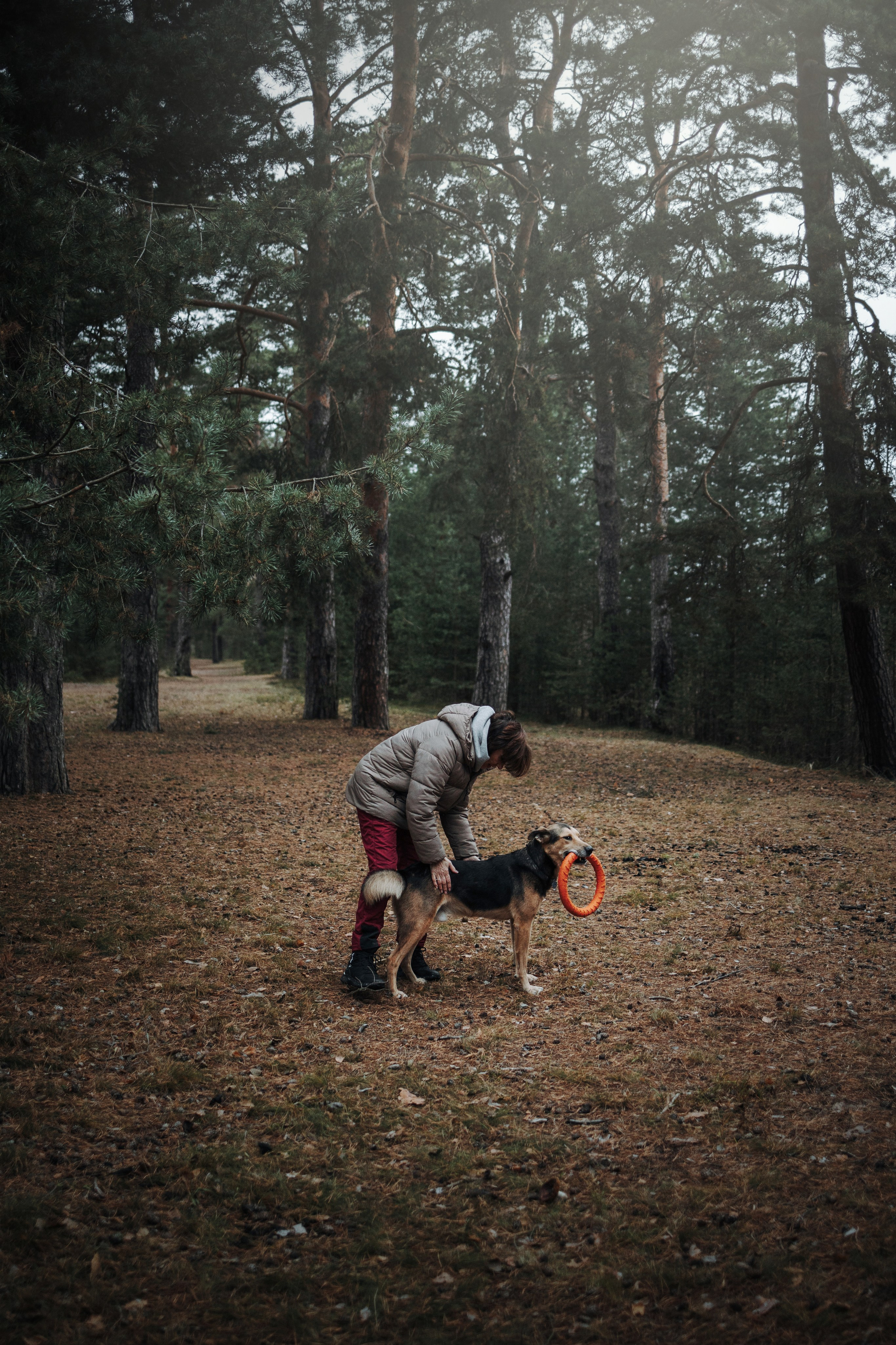 Наталья и Того. Фотограф — Анималист | Санкт-Петербург