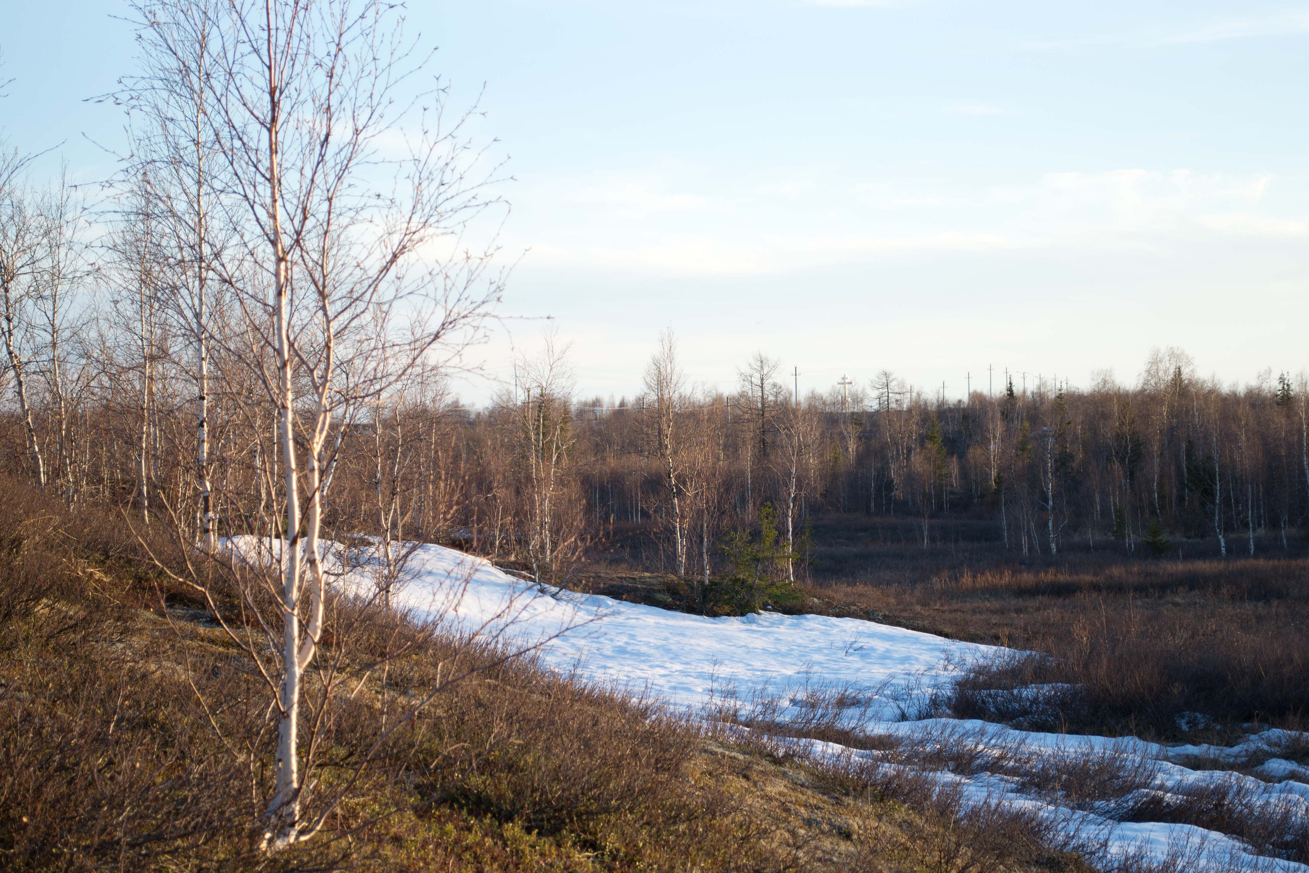 Пейзаж. Фото — видео Тюмень