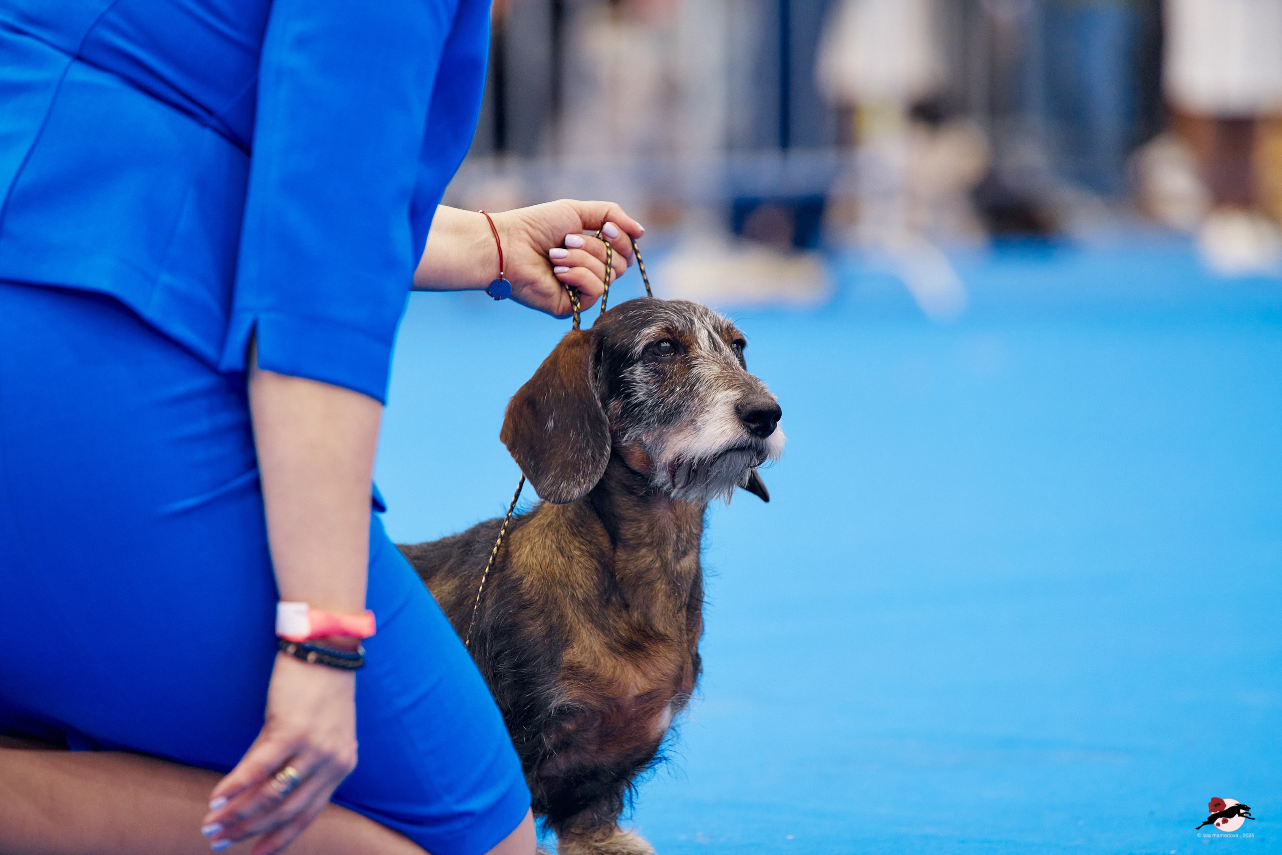 27.04.2025 | "Петербург-Элита 2025" & «КУБОК «ЭЛИТЫ»-2025»