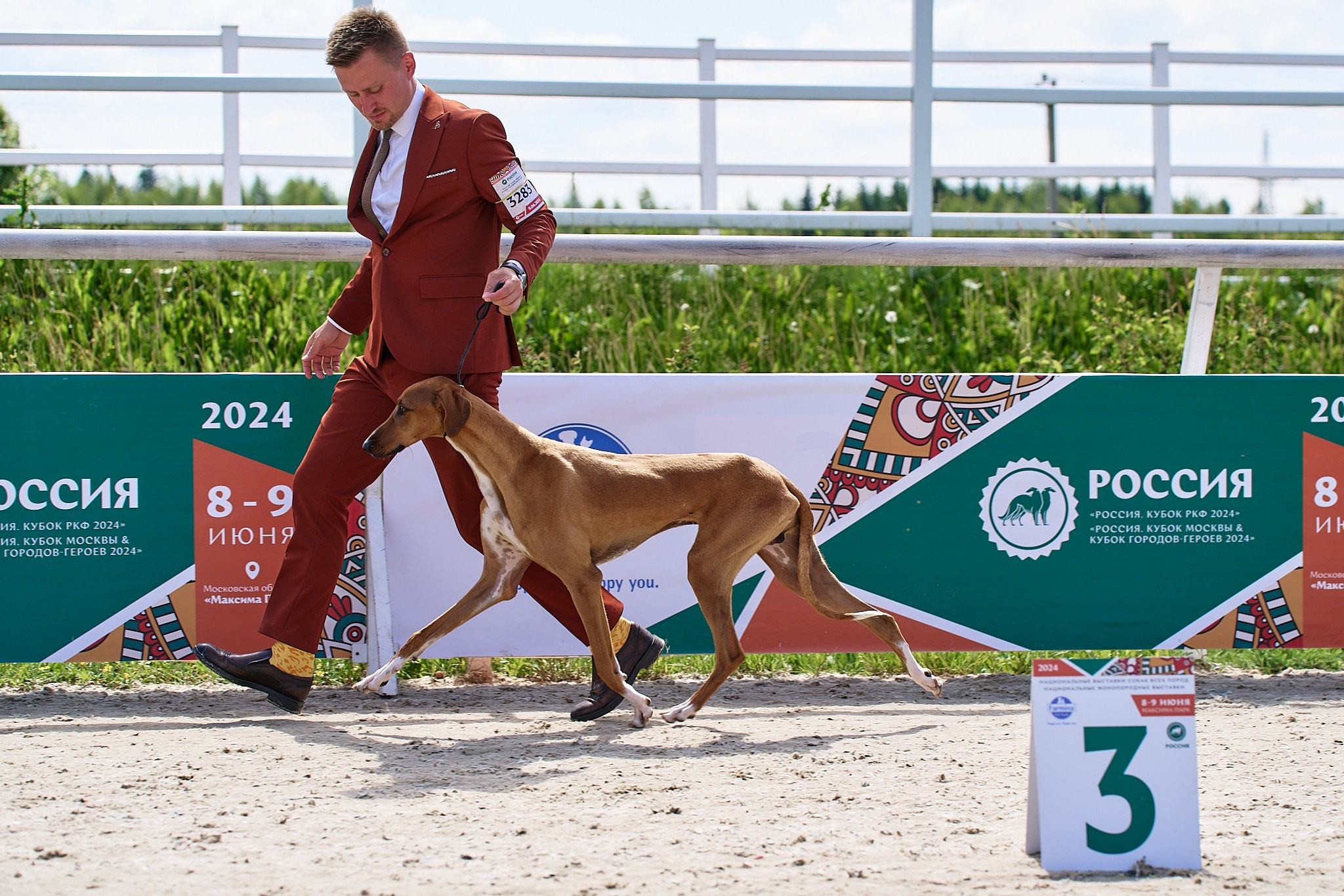 09.06.2024, «РОССИЯ. КУБОК МОСКВЫ 2024 & КУБОК ГОРОДОВ-ГЕРОЕВ»
