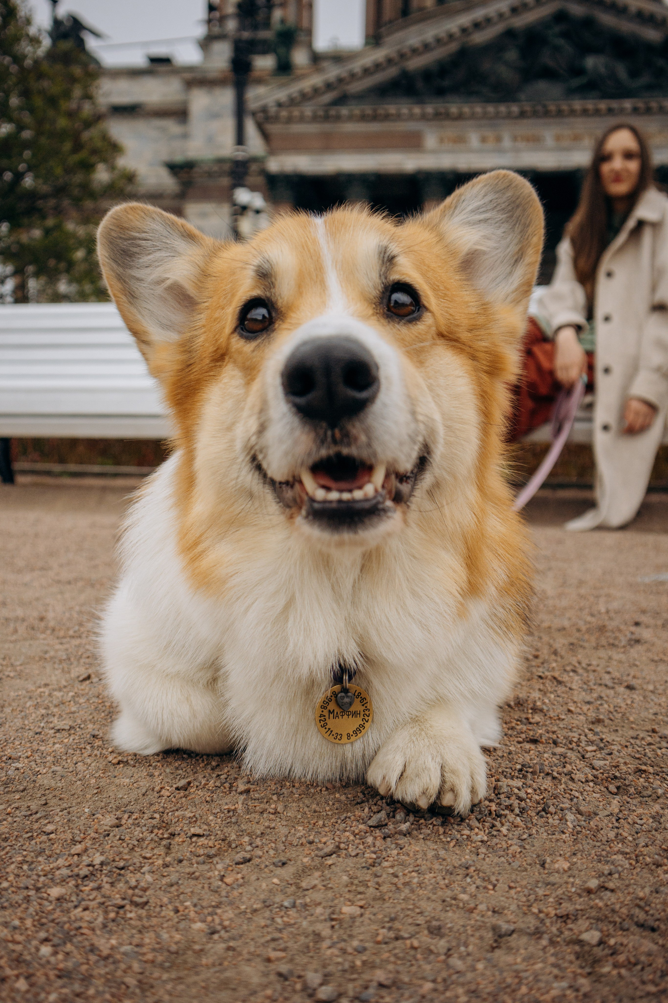 Лина и Маффин. Фотограф-анималист в Санкт-Петербурге
