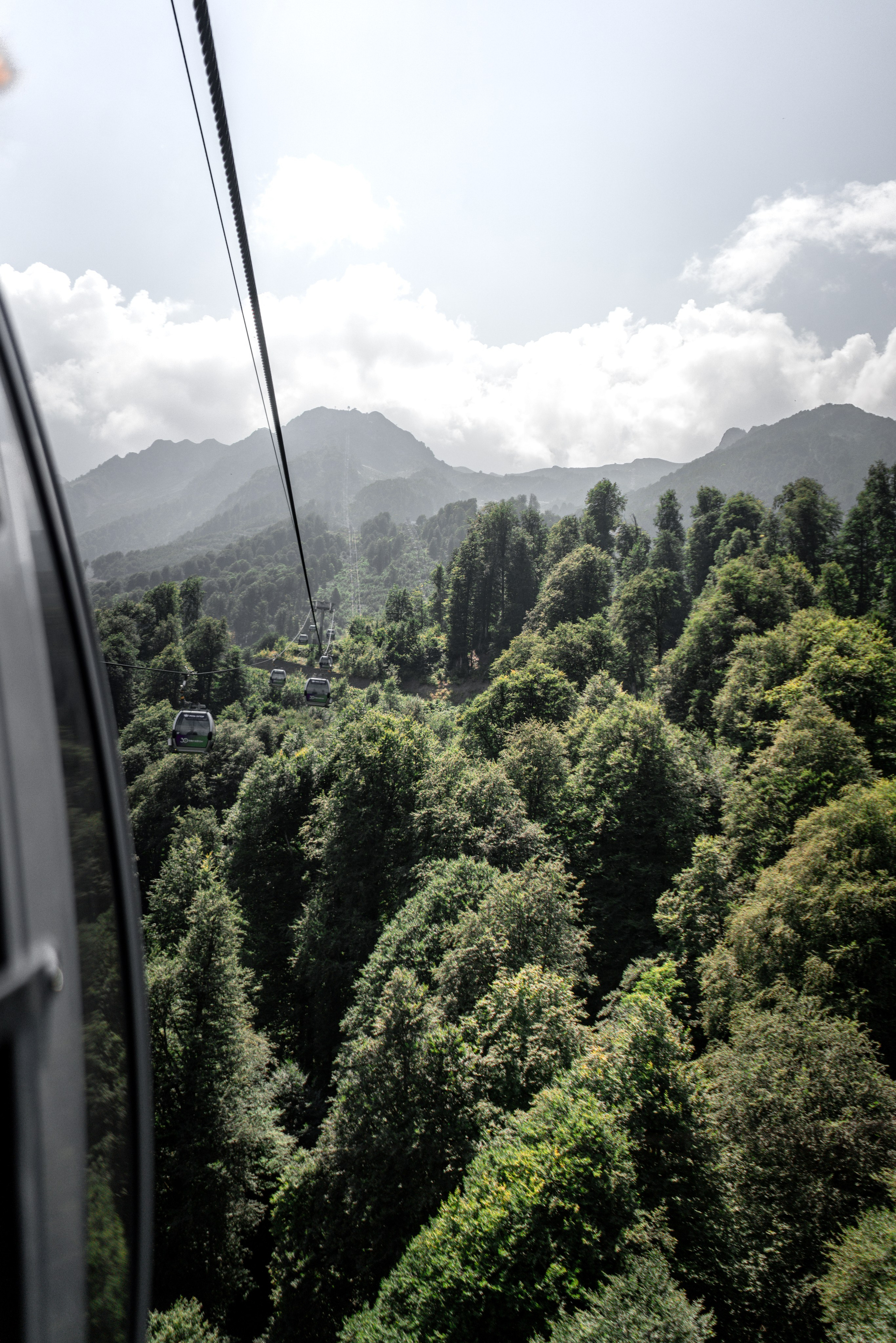 Сочи. Фотограф Александра Волкова | Волгоград