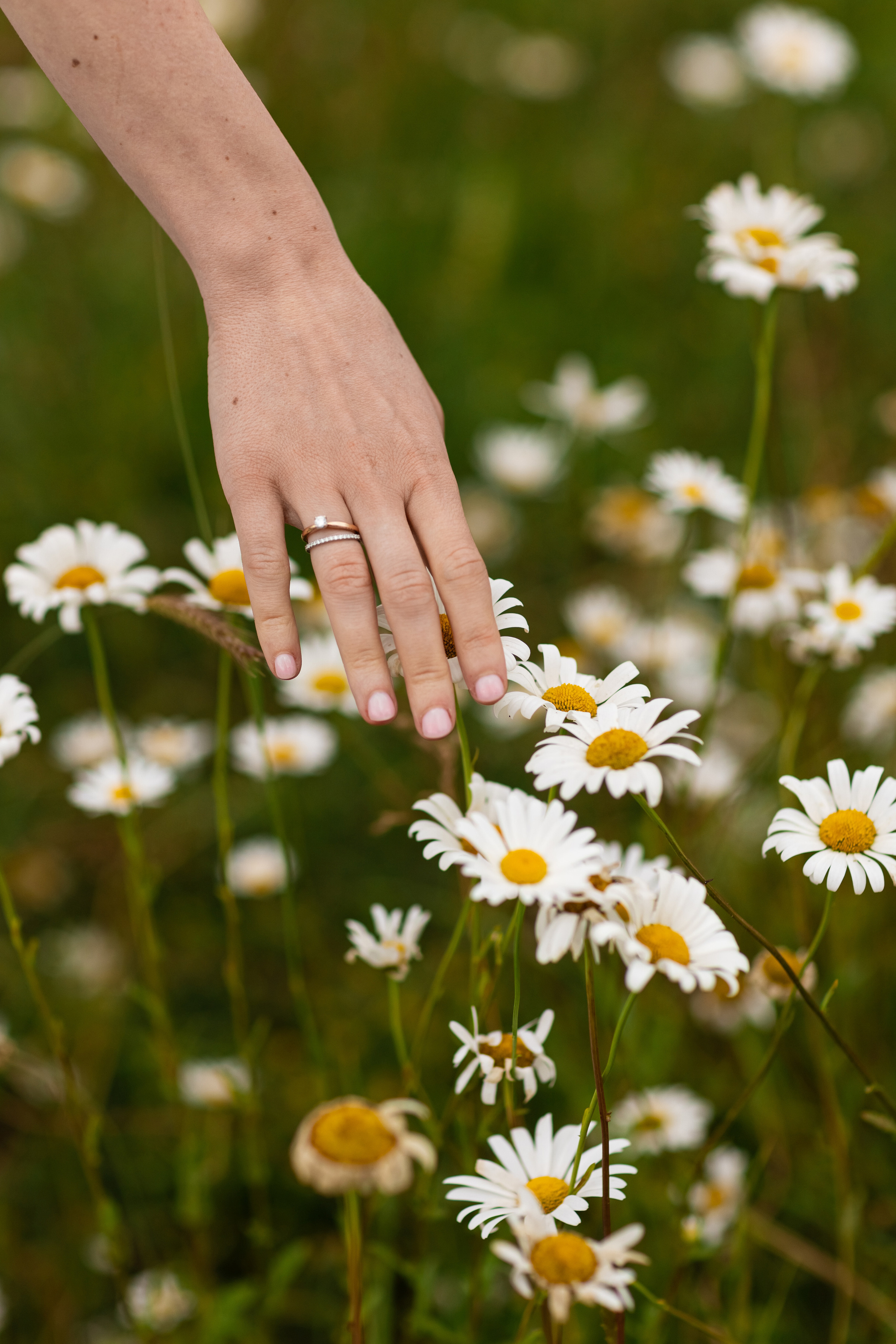 Никита и Даша — Анонс свадьбы. Свадебный фотограф, фотосъемка в Крыму, Севастополе, Симферополе, Ялте