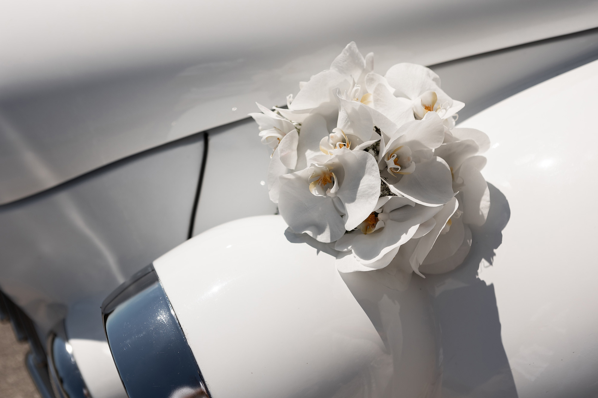 Свадебная фотосессия в Крыму — свадебные фотосессии в Севастополе Ялте. Свадебный фотограф, фотосъемка в Крыму, Севастополе, Симферополе, Ялте