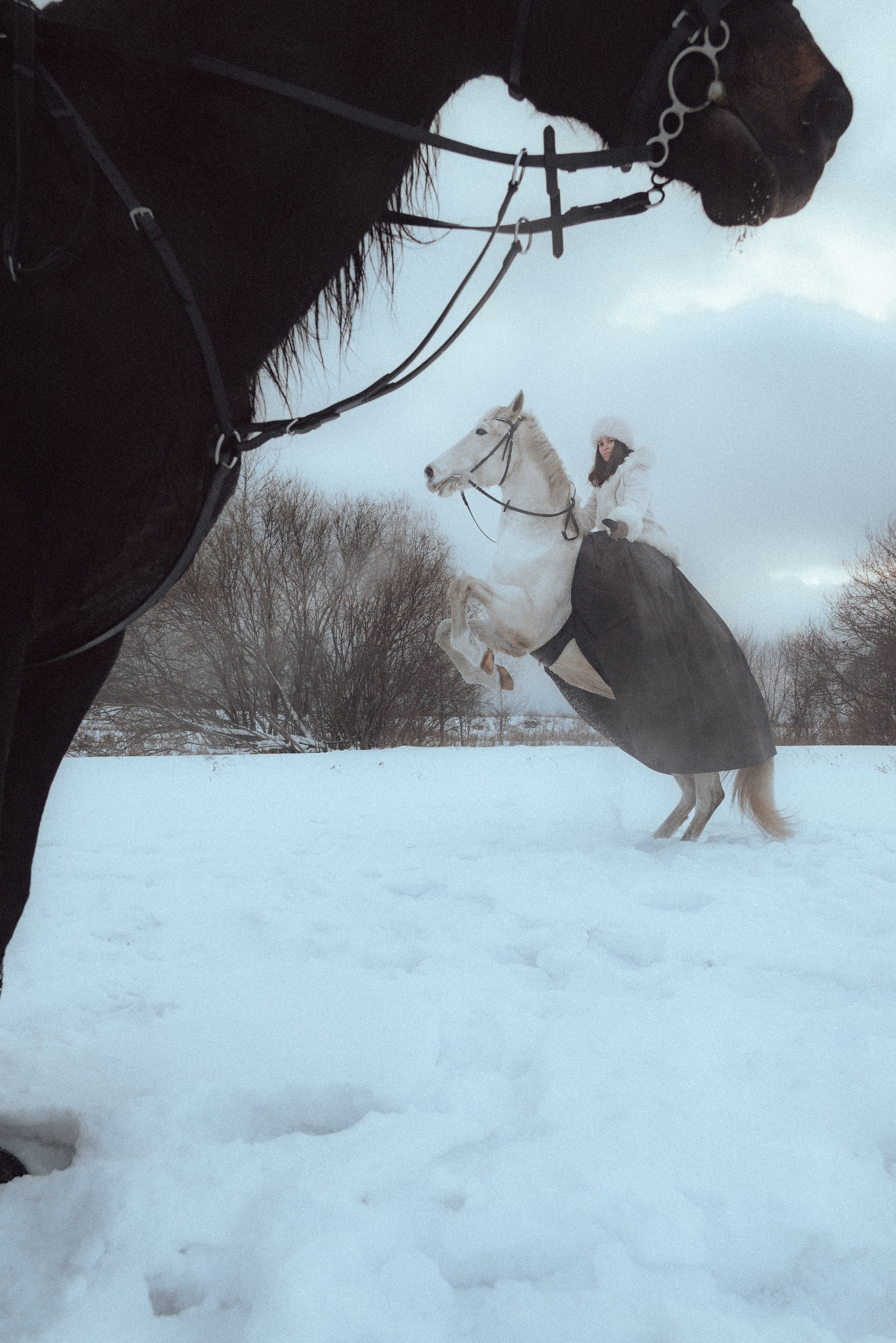 Съемка с лошадью Иркутск Иркутская область. Сайт фотографа Елены Коноваловой Иркутск