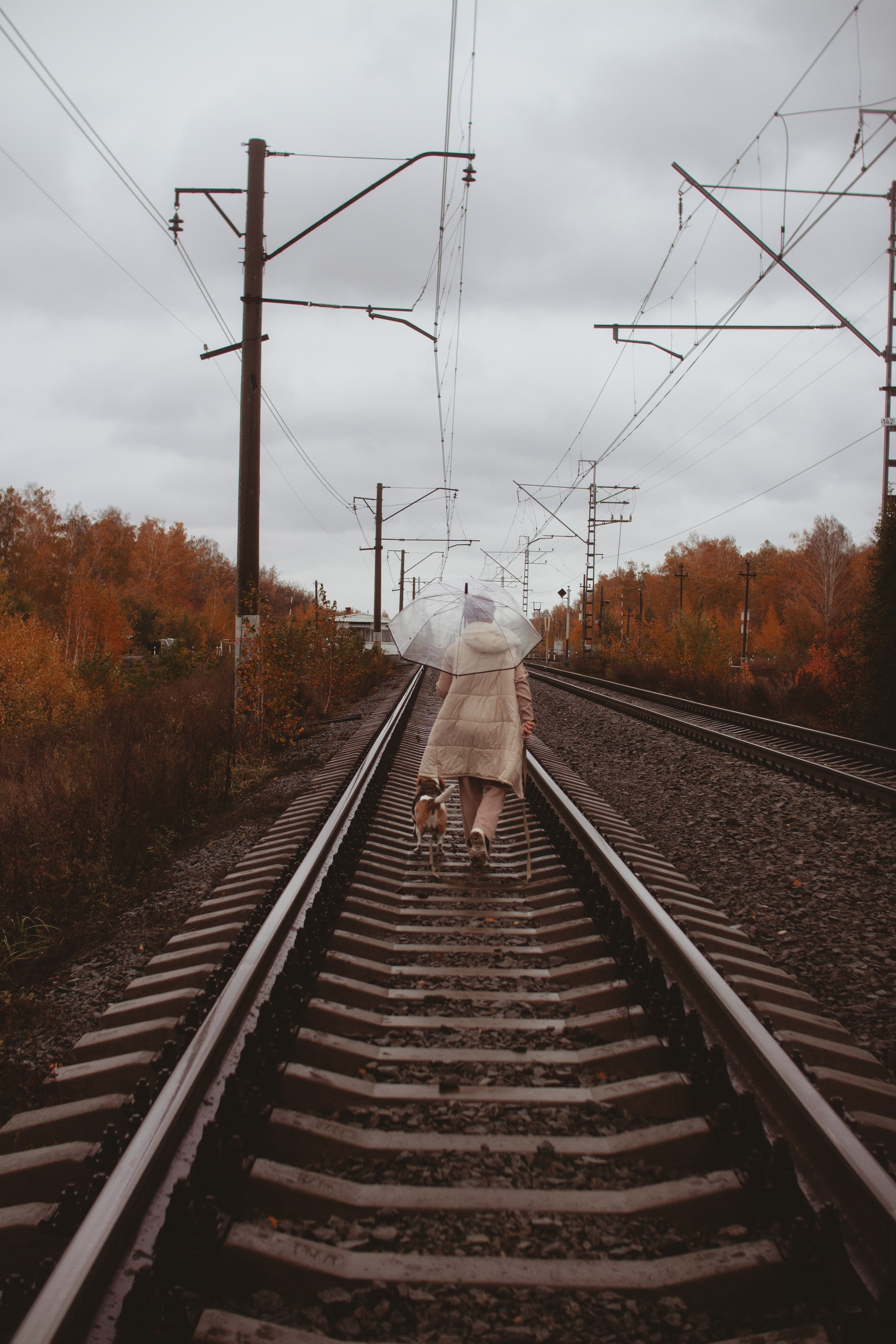 Зубовы Family Осень. Фотограф в Челябинске Филимонова Дарья