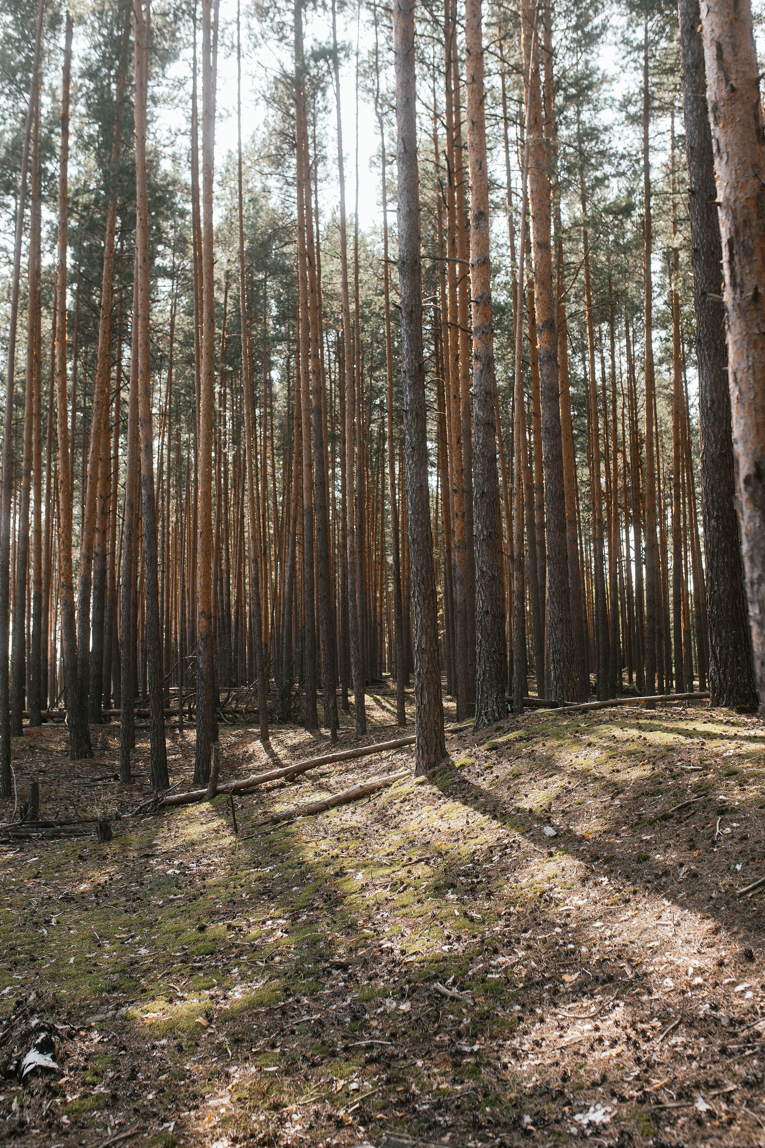 Wedding day #62. Свадебный, семейный фотограф в Рязани Лена Брант