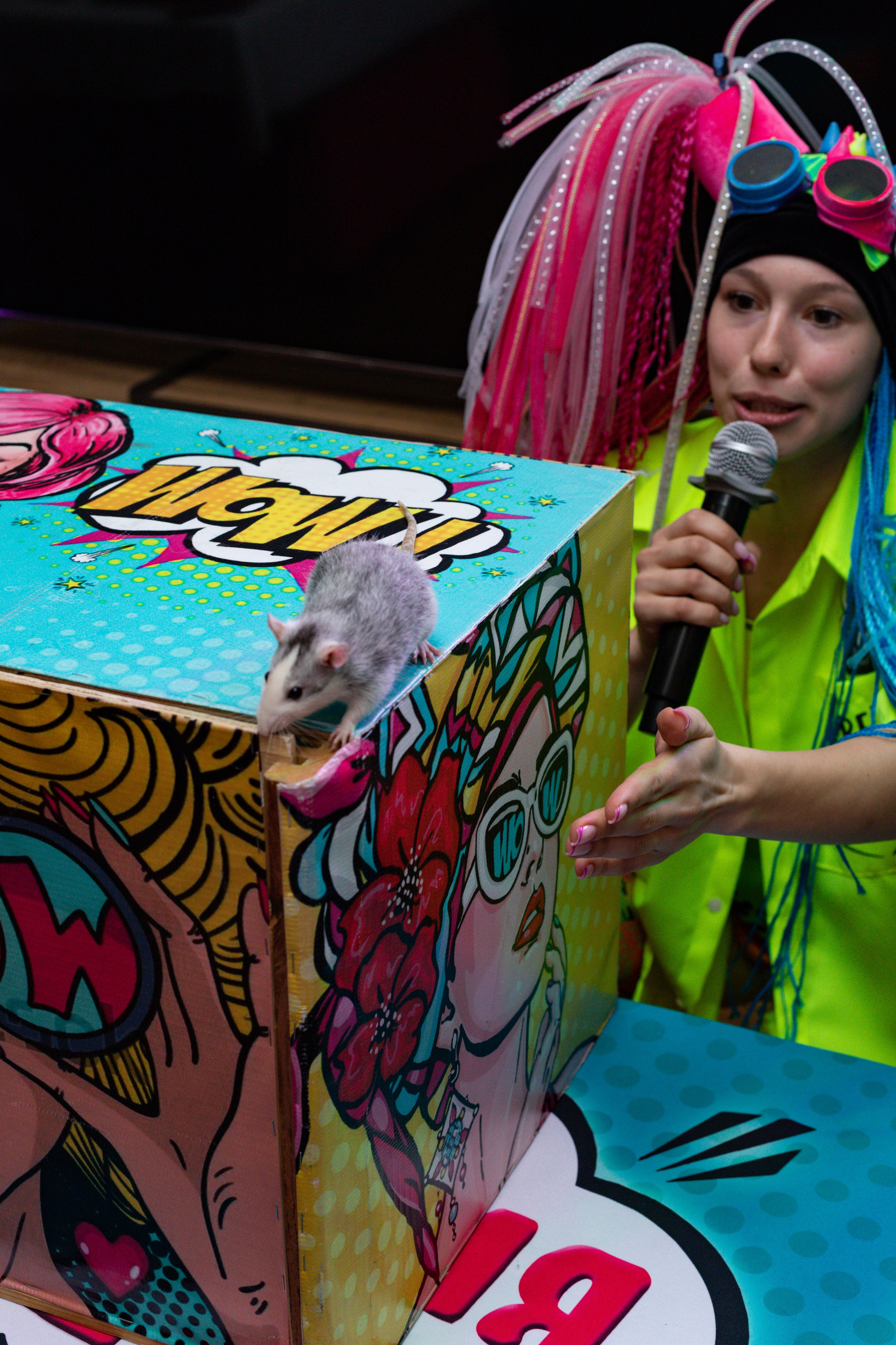 ZAHAR 5 YEAR / BIRTHDAY. Photokarish