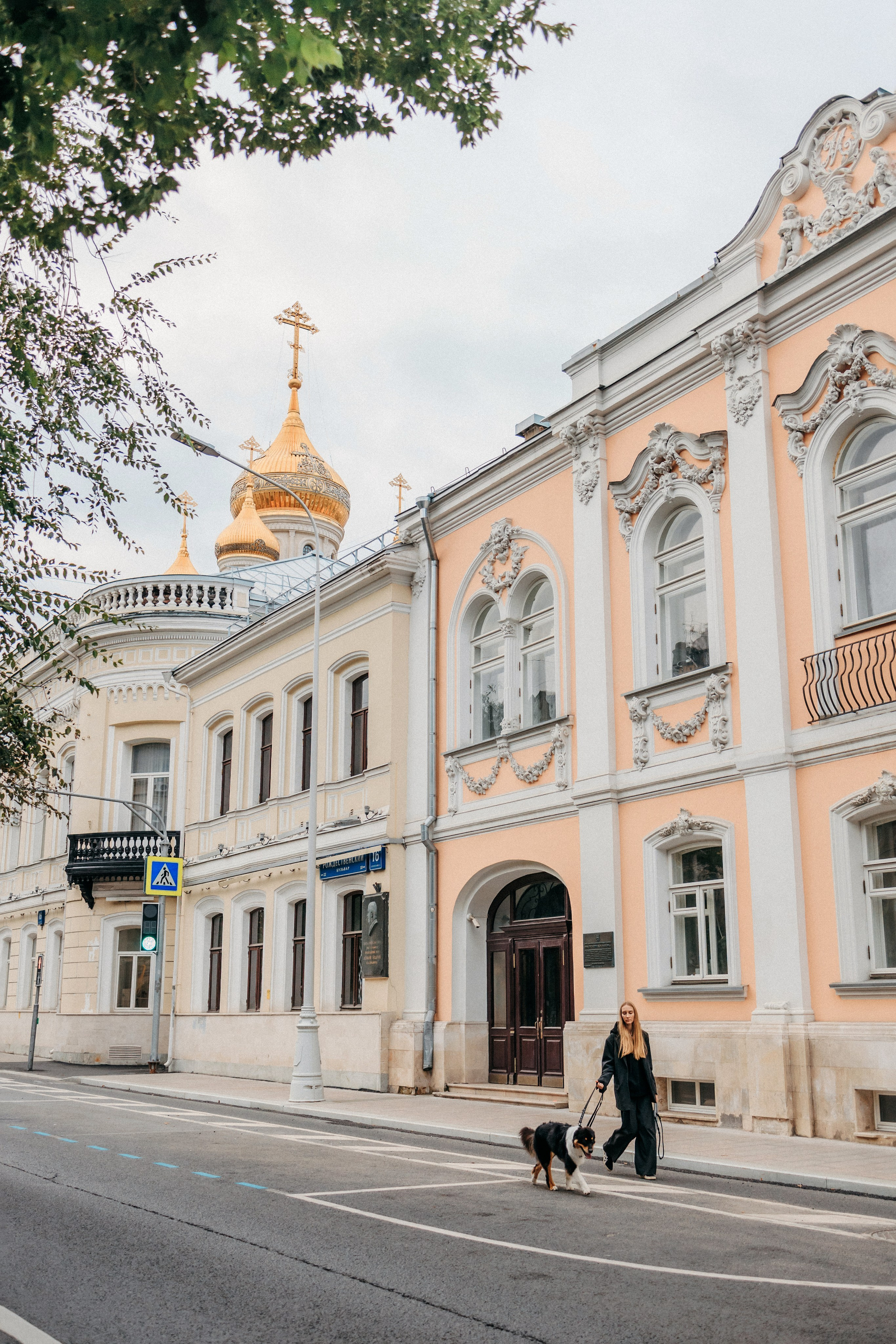 Лена и Рэй. Фотограф-анималист Елена Радченко, Москва