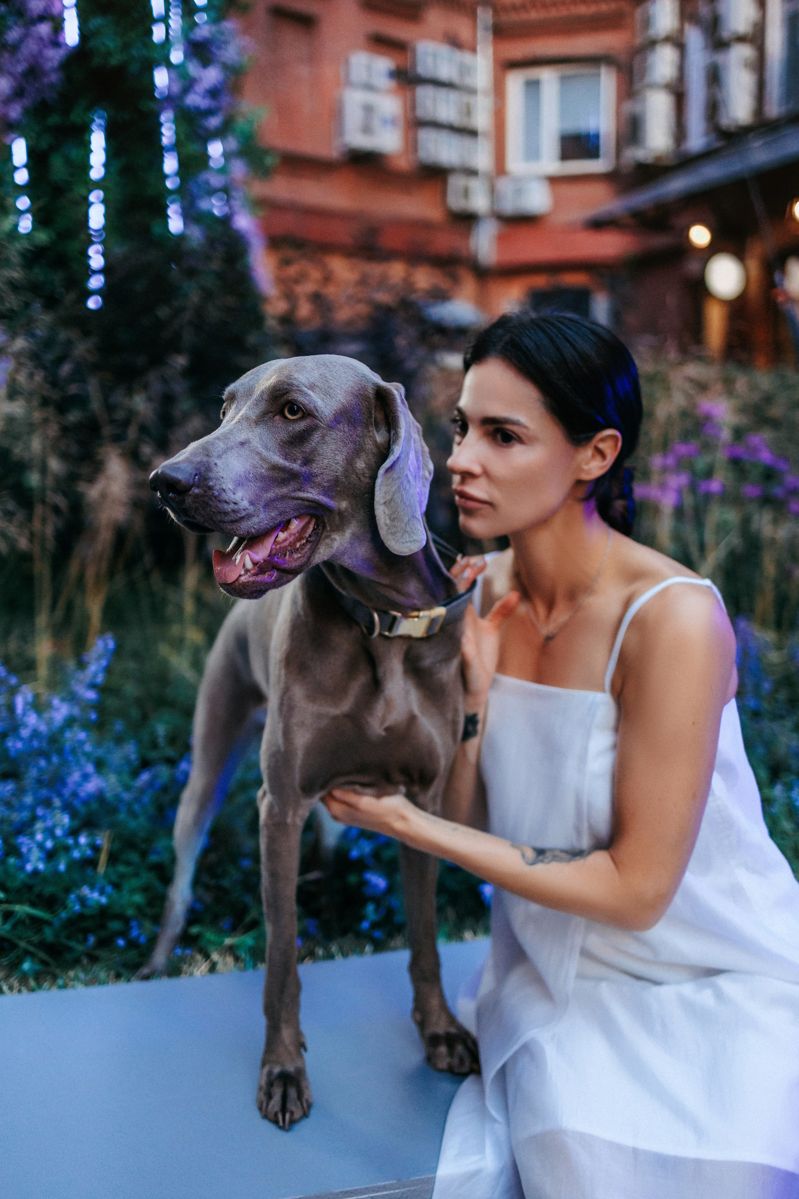 Соня и Майли. Фотограф-анималист Елена Радченко, Москва